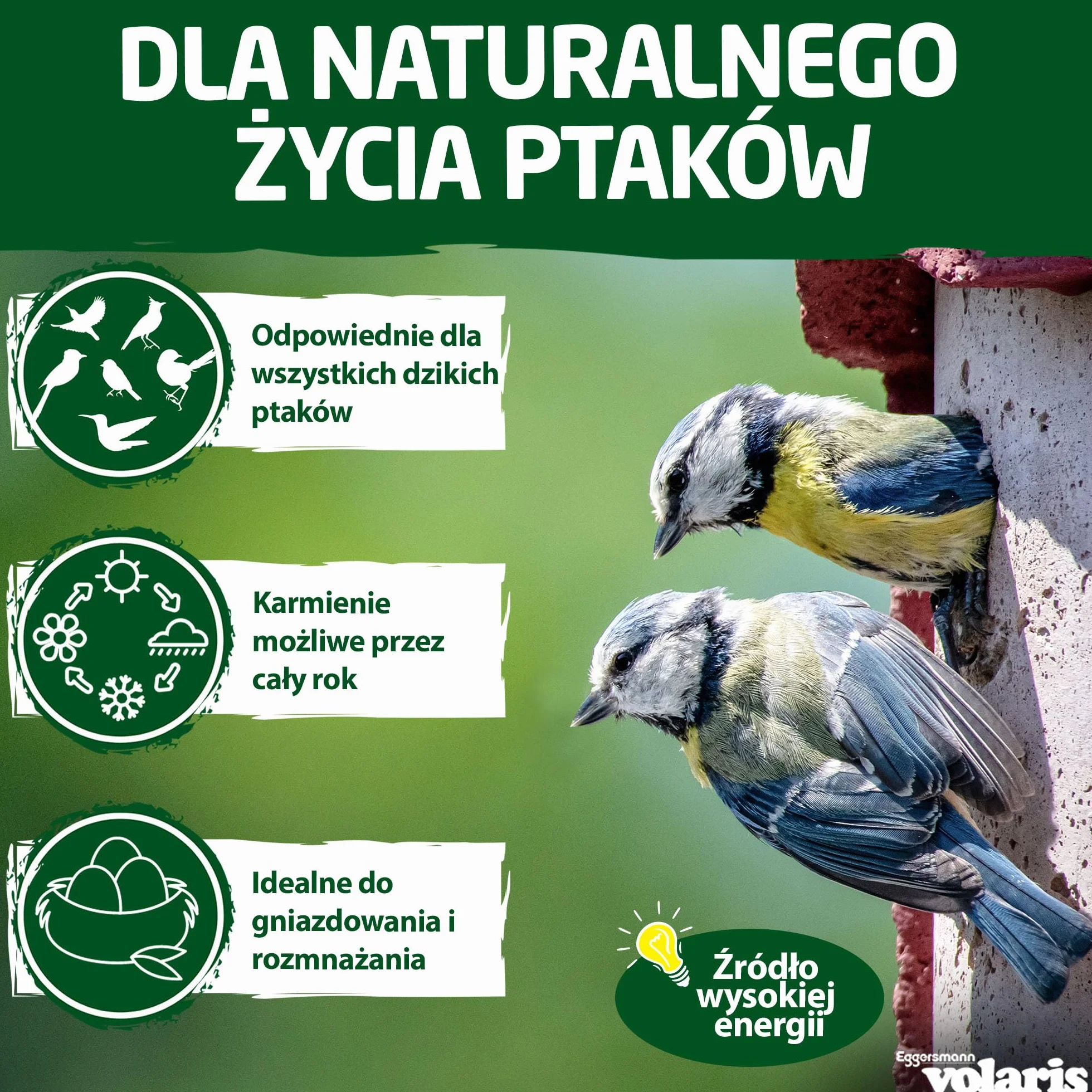 Eggersmann volaris Kula z sikorkami bez siatki, 30 sztuk, 2,9 kg, kula z ziarnami dla dzikich ptaków, bogata w składniki odżywcze, całoroczna karma dla wszystkich gatunków ptaków, pierogi dla ptaków