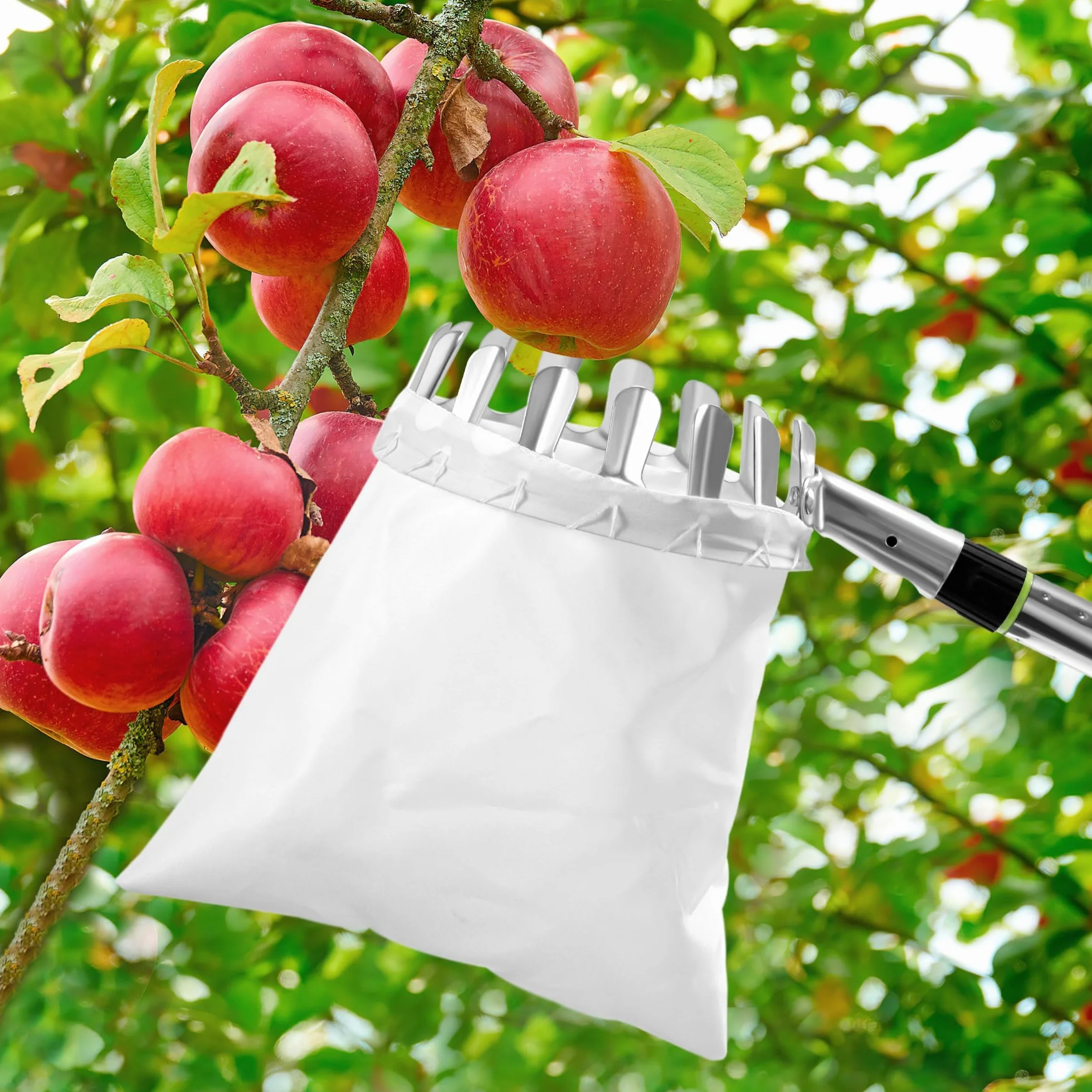 Zbieracz owoców, jabłek, narzędzie do zbierania owoców, z lekkim drążkiem łączącym ze stali nierdzewnej i torbą materiałową, łatwy montaż, do zbiorów, wiśni, jabłek, cytrusów, gruszek