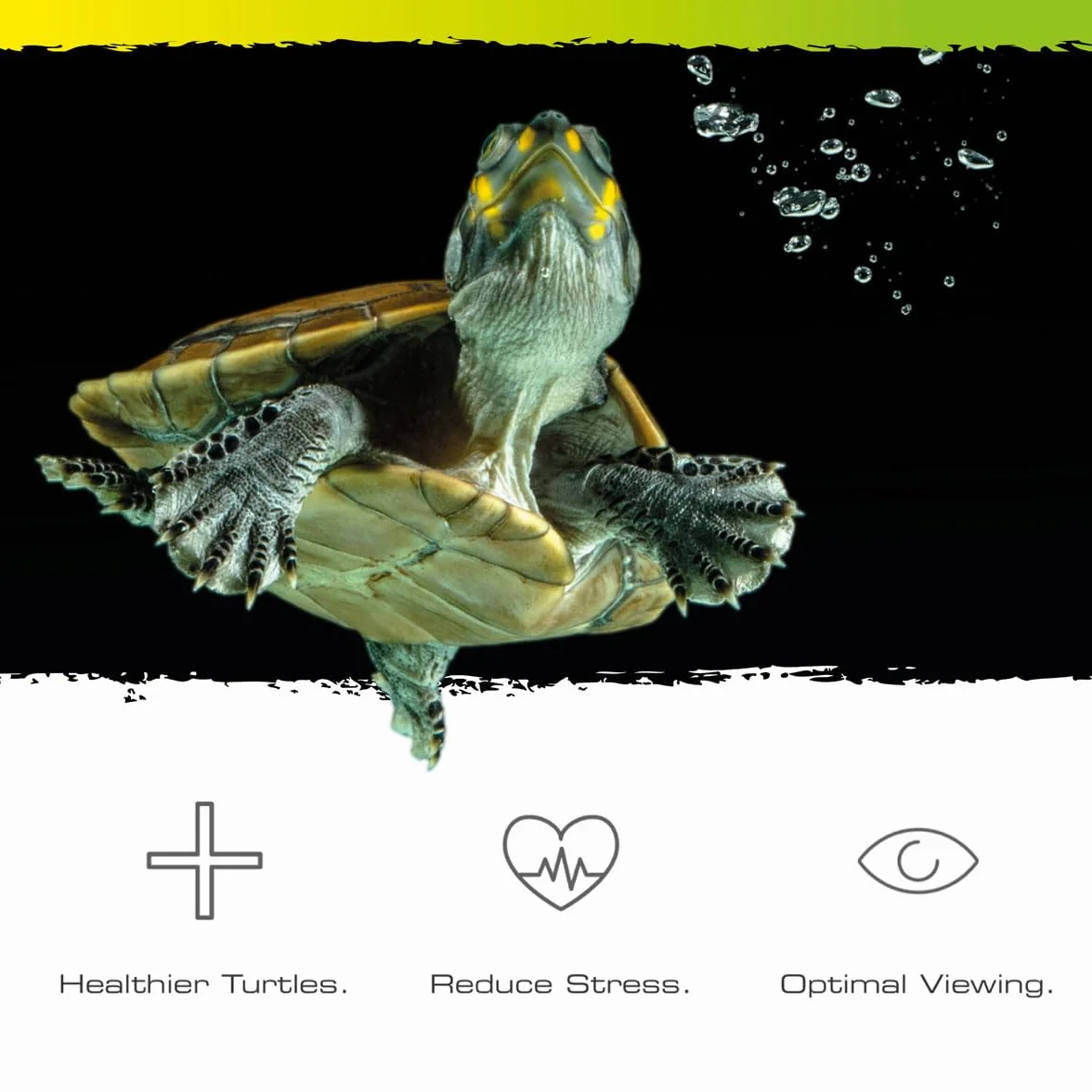 Exo Terra Turtle Haven terrarium wodne - 90 x 45 x 37 cm
