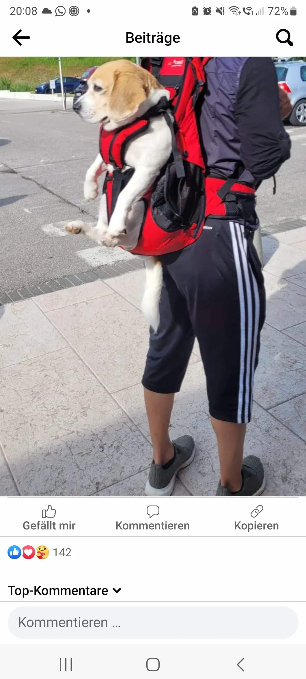 Premium big&slim dog carrier - plecak na psa, torba transportowa, - wysokiej jakości plecak na psa o wadze 7-16 kg, kolor czarny