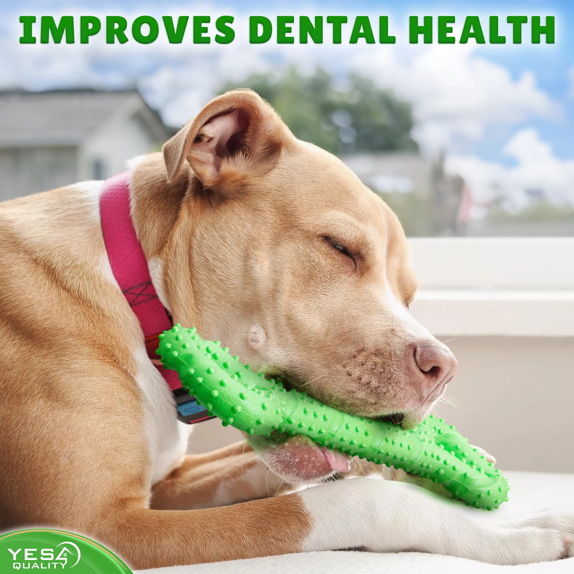 Yes4Quality - Dog Chew Toy - 33 cm, Green - Tough Bone Toy for Aggressive Chewers - Mentally Stimulating Pet Enrichment Toy to Keep Dogs Busy