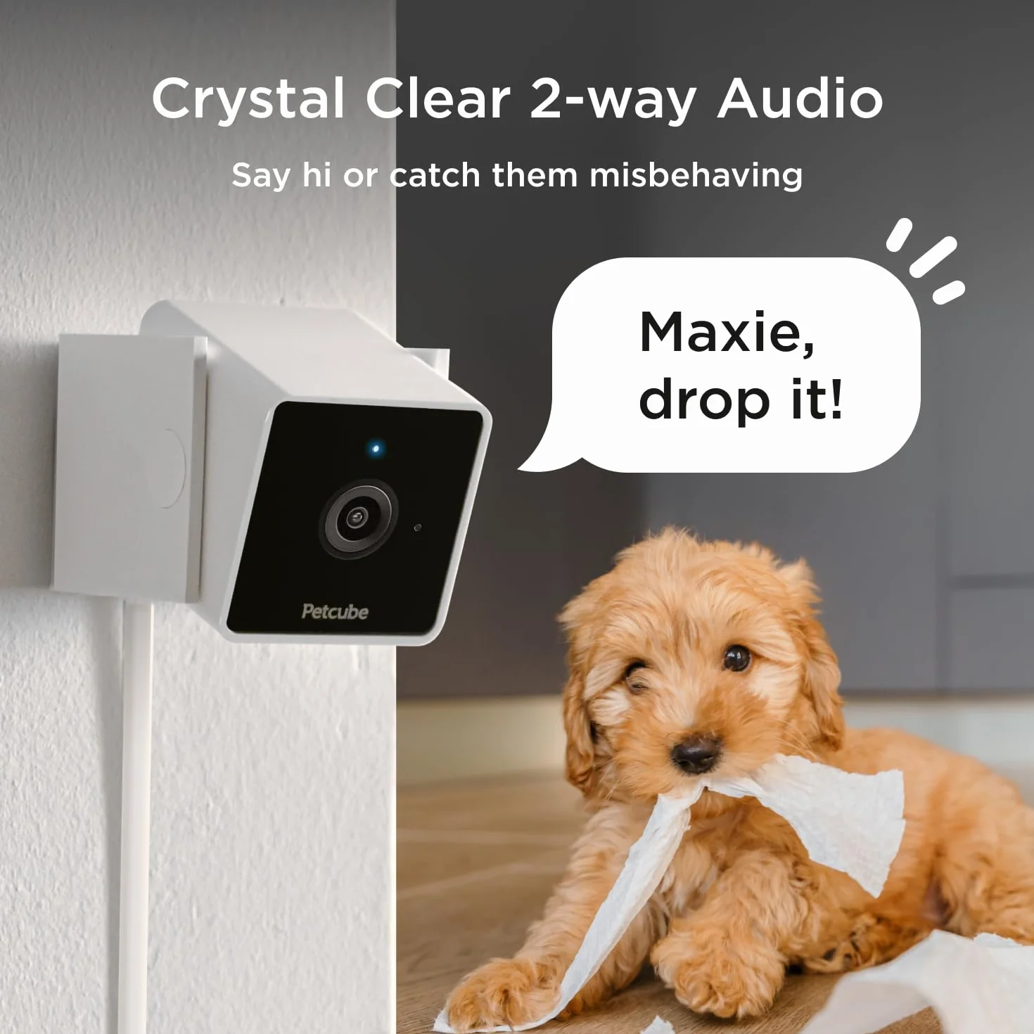 Petcube Cam, kamera monitorująca zwierzęta domowe z wbudowanym czatem weterynaryjnym dla kotów i psów, kamera bezpieczeństwa z wideo HD 1080p, noktowizor, dwukierunkowy dźwięk, mocowanie magnesem