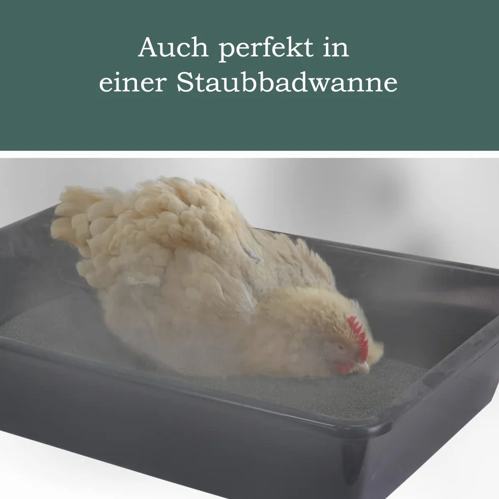 Petigi Mąka z kamienia pierwotnego, ściółka dla drobiu, do kąpieli piaskowej, mąka kamienna dla kur i przepiórek, piasek do kąpieli w proszku do kurników i wybiegów dla kur