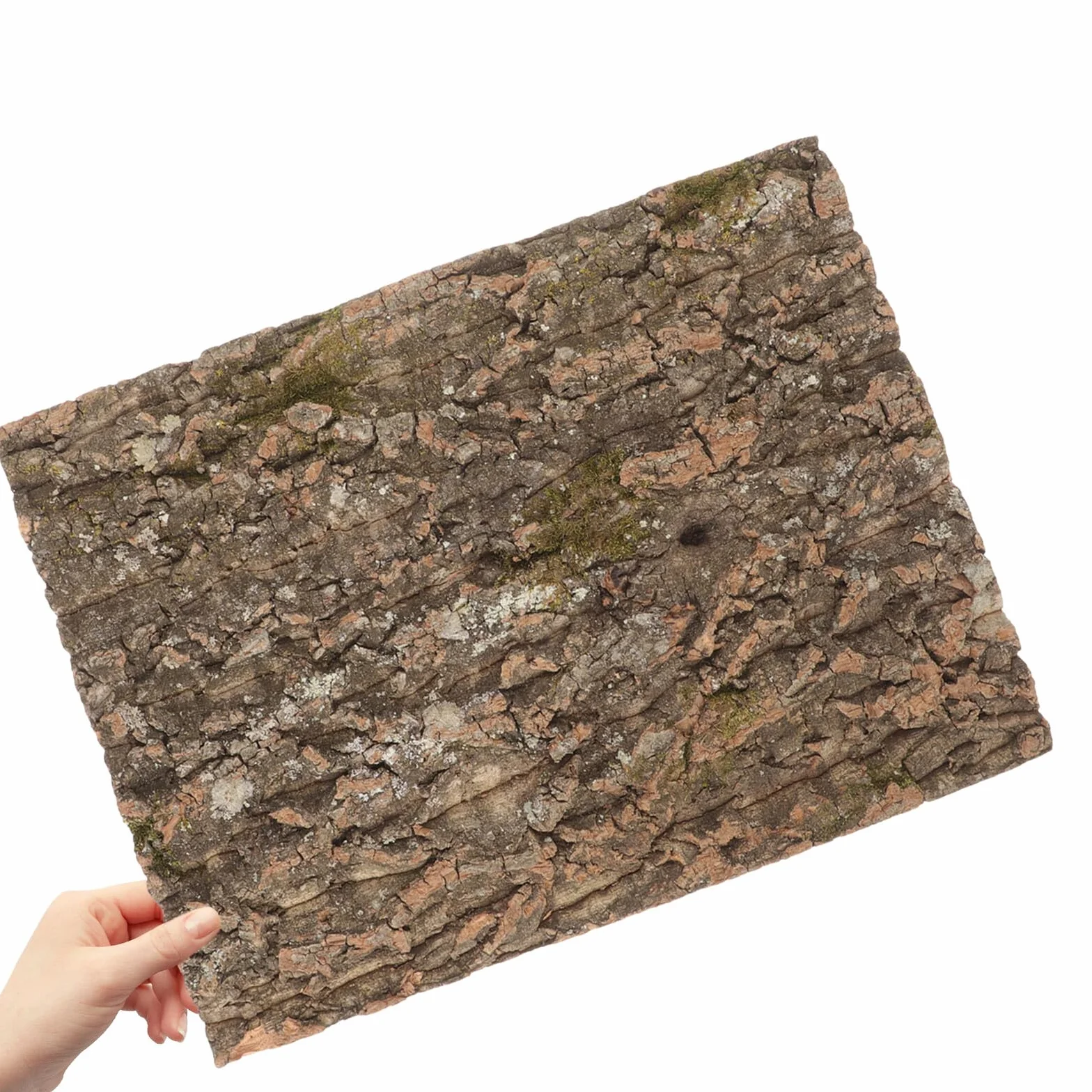 Kora Jasnobrązowy Tło Do Terrarium Akcesoria Dekoracyjne Dla Gadów Panel Do Akwarium