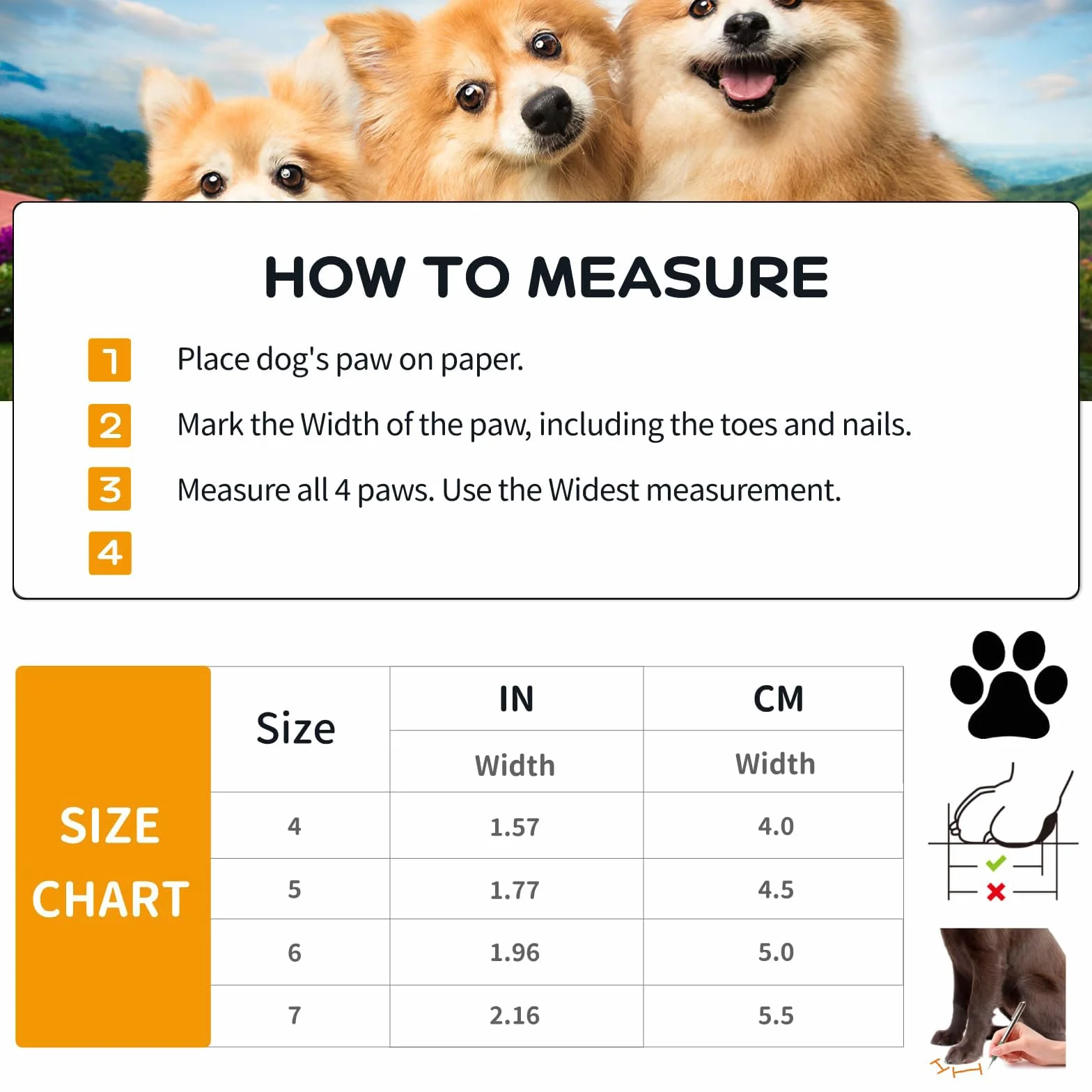 Paw Protector wodoodporne buty dla psa antypoślizgowe odblaskowe 4 szt.