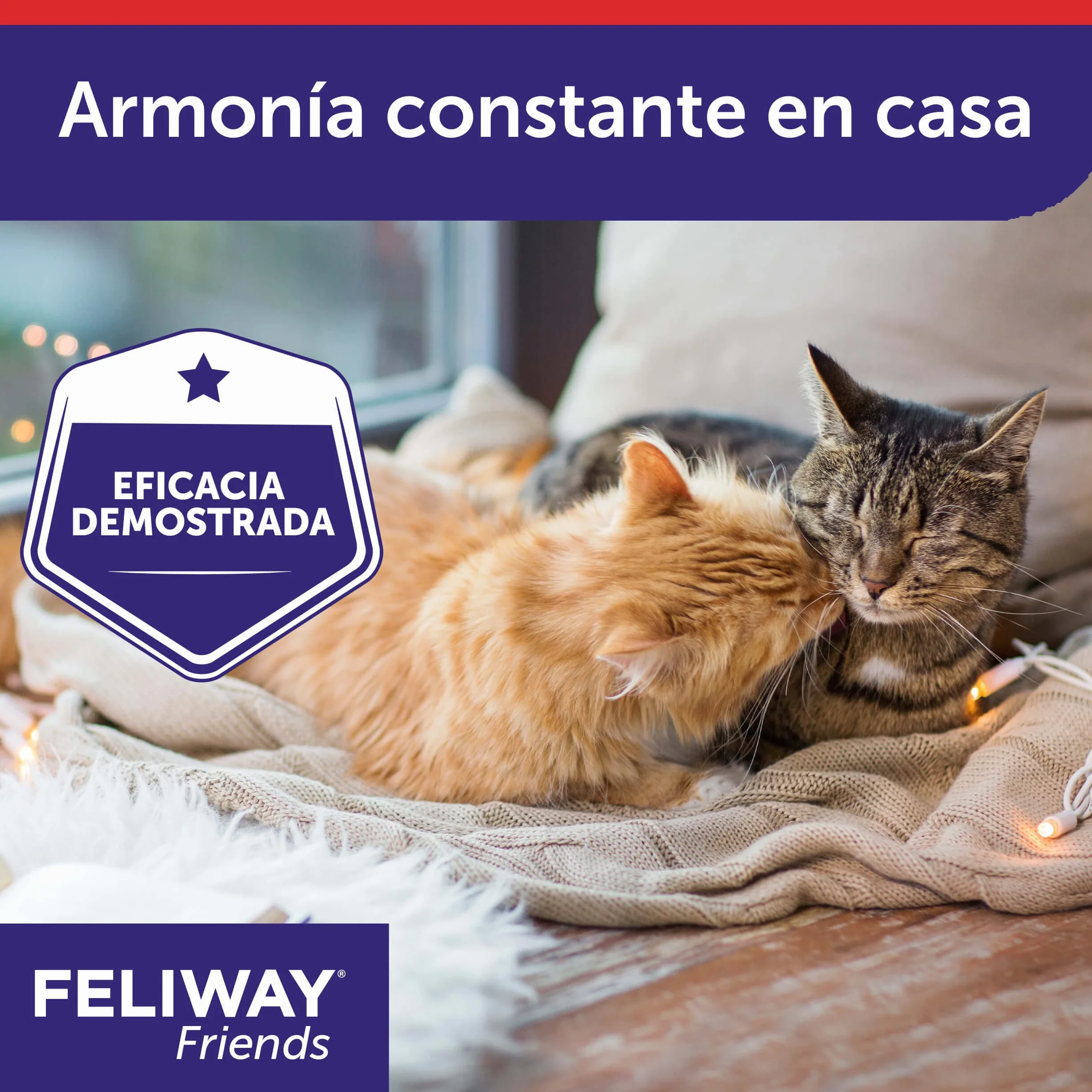 CEVA - Refill Feliway Friends