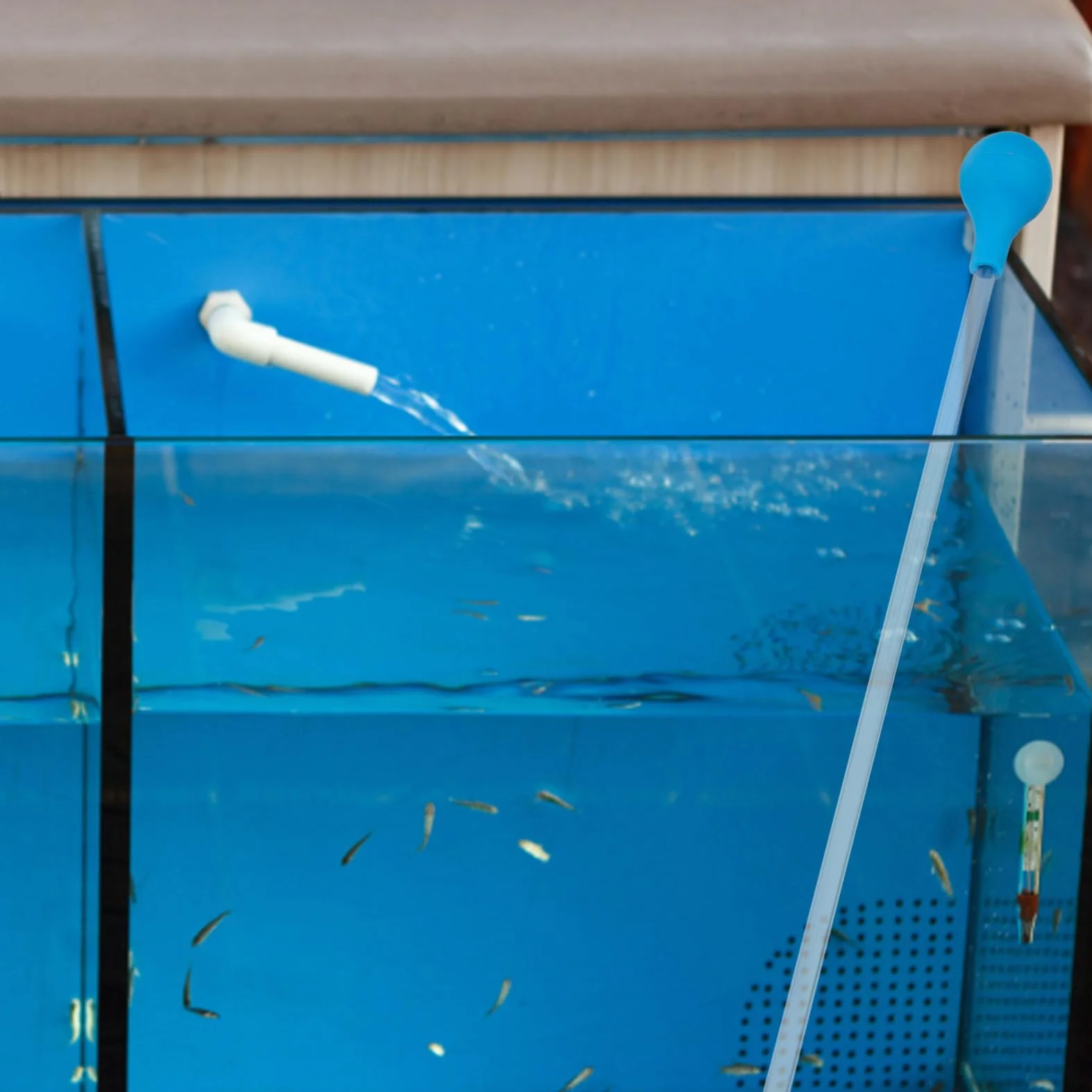 BESPORTBLE 2Pcs Coral Feed Tube Rurka Koralowa Akwarium