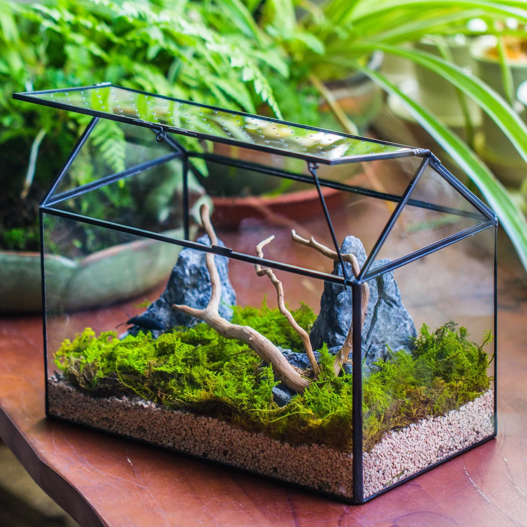 NCYP Szklane terrarium w kształcie domu z akrylową pokrywką, duże, geometryczne pudełko terrarium na ślimaki, paprocie, sukulenty, rośliny powietrzne, czarna dekoracja blatu (bez roślin)