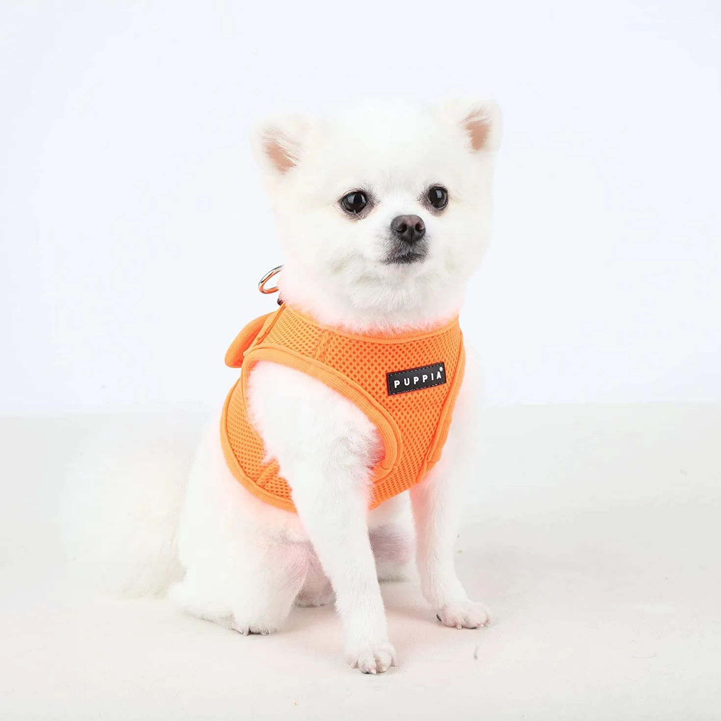 HARNESS NEON SOFT B ORANGE M
