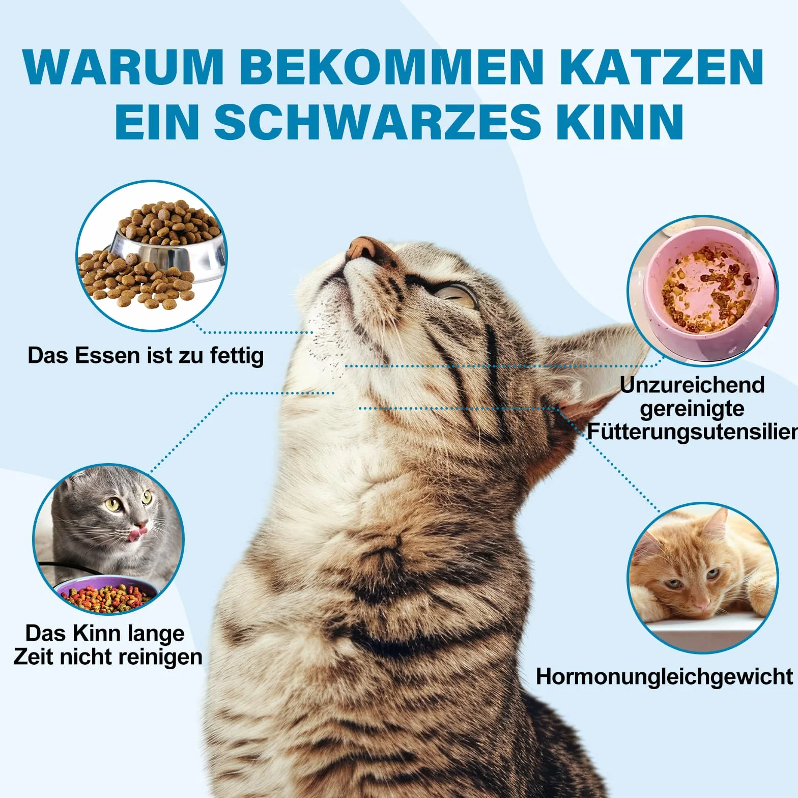 Zestaw do pielęgnacji brody kota: krem i szczotka na trądzik, 60ml