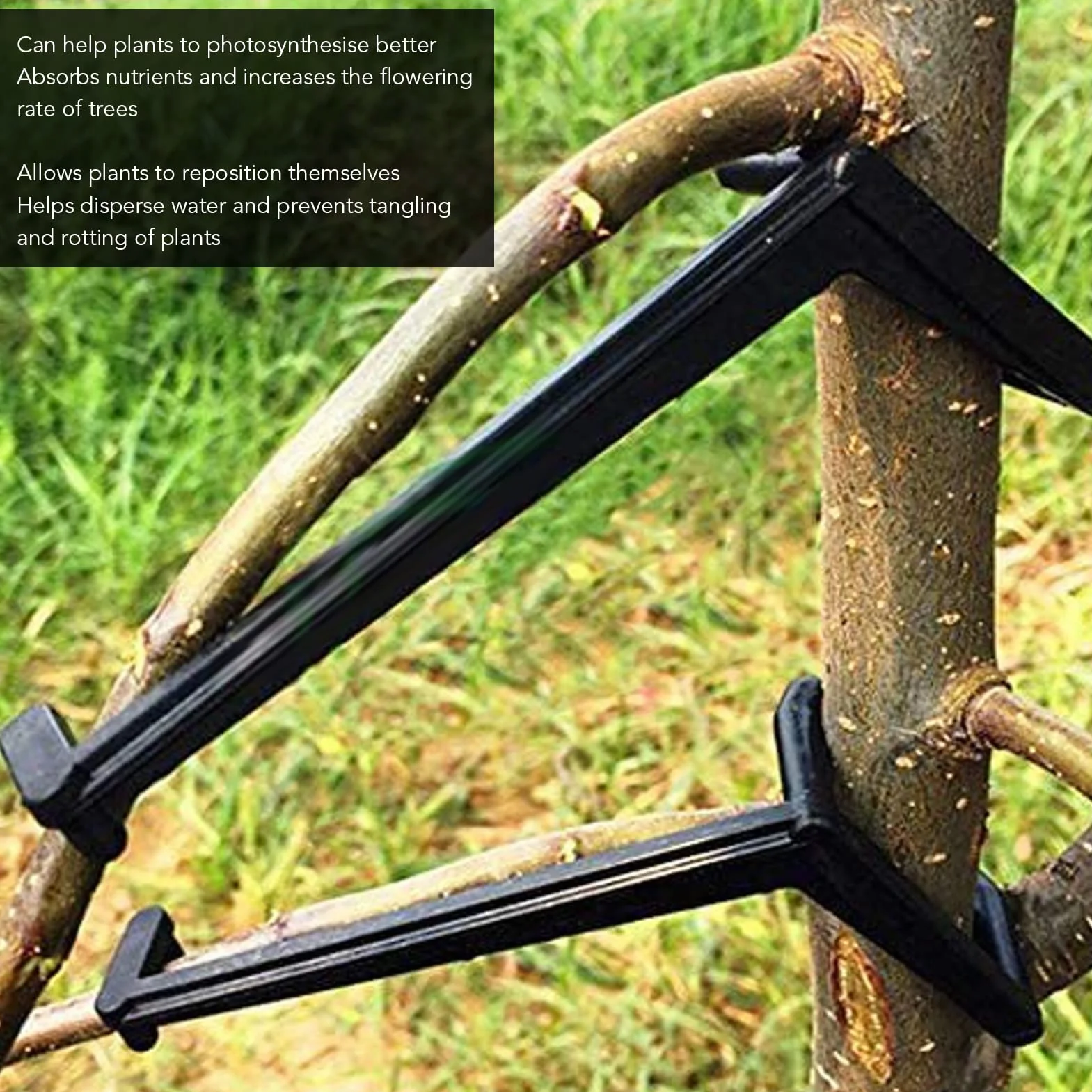 Rozpieracz Gałęzi Drzewa Owocowego, 20 szt. Plastikowy Trwały Rozpieracz Gałęzi Odporne na Ciśnienie Narzędzie Bonsai do Ogrodnictwa