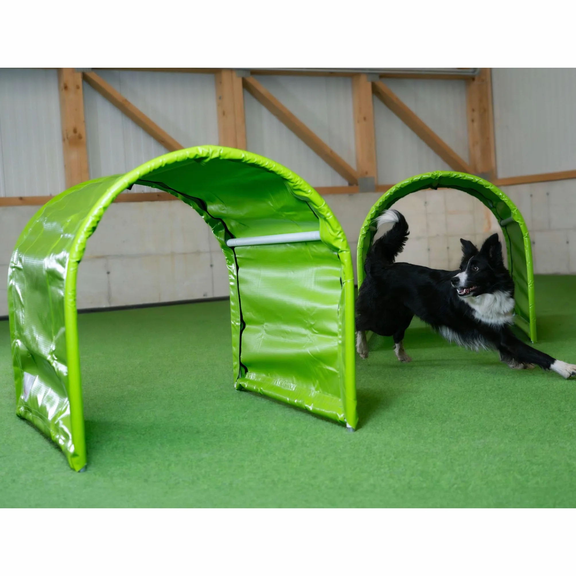 Callieway® BOLO-des Alpes Hoopers-Tunnel dwupak – bezpodłogowy i stabilny, 2 x 1 m, aluminiowa rama i promieniowanie UV, trening zwinności dla psów, limonkowa zieleń