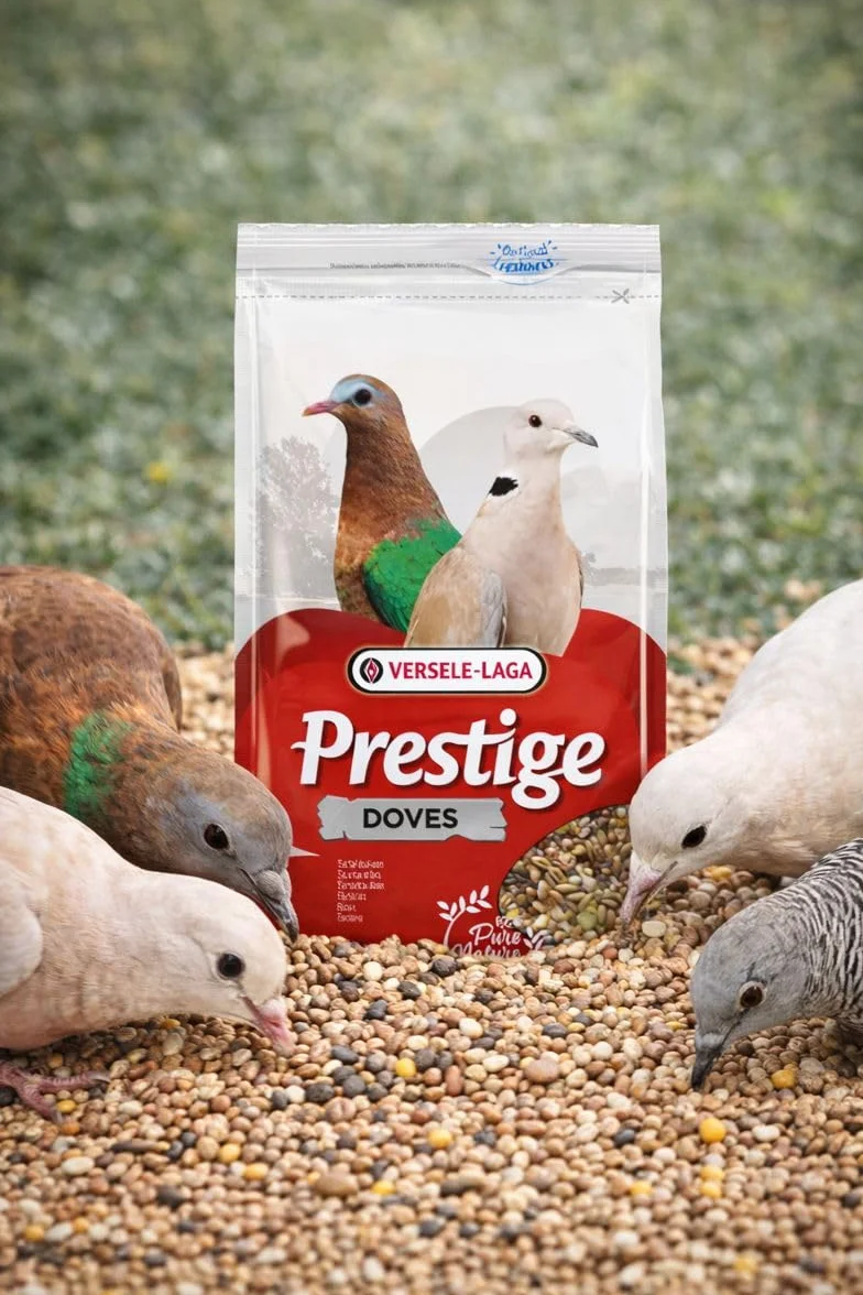 Prestige Tortelduivenvoer-4 KG