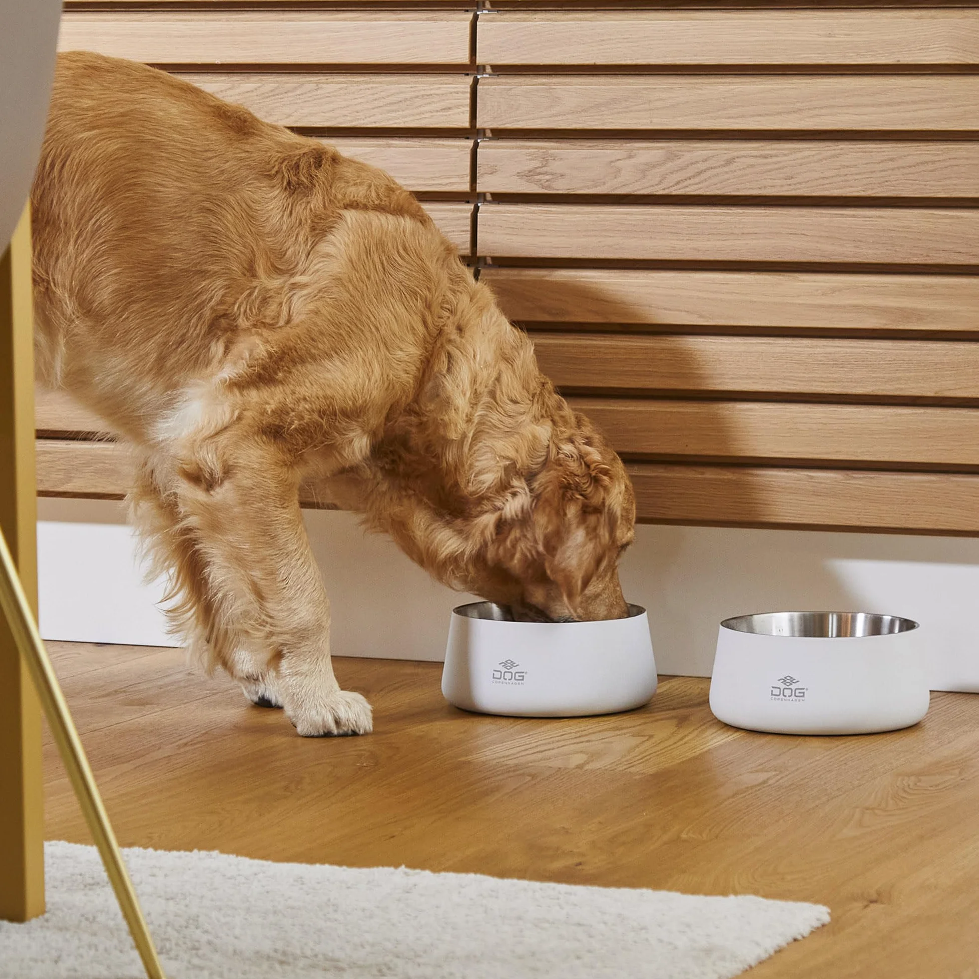 DOG Copenhagen Vega Bowl miska dla psa stal nierdzewna M/L zielony wyścigowy