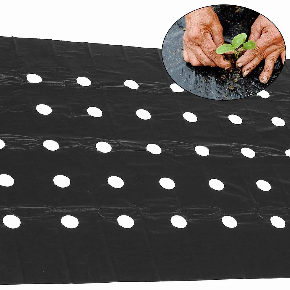 Keyohome Włóknina przeciw chwastom 10 x 0,95 m, filc geowłóknina ogrodowa z otworami do sadzenia, oddychająca membrana PE Anti UV, folia z tworzywa sztucznego do ogrodu warzywnego i roślin