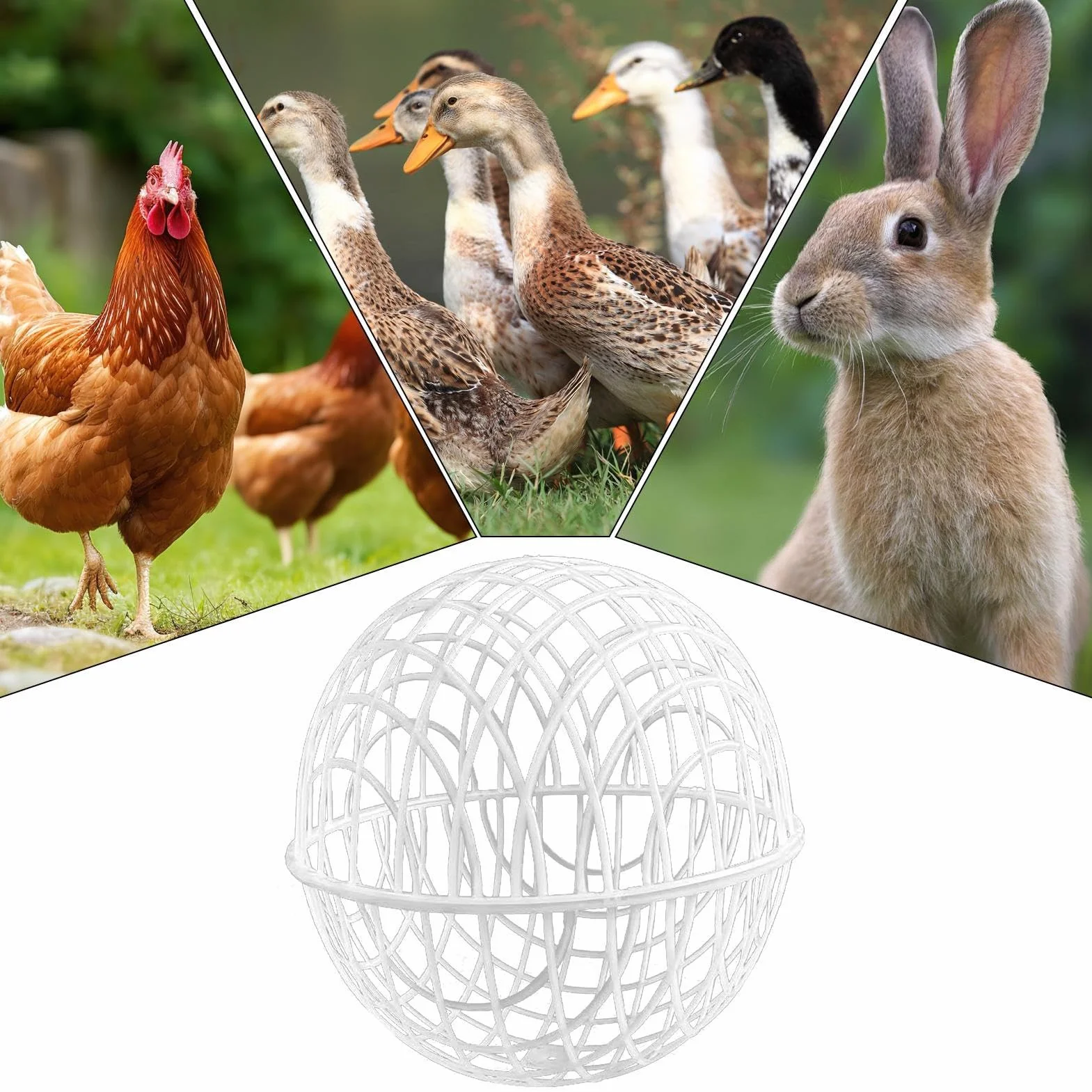 Chicken Globes for Outside Roaming - 3 Pieces Movable Chicken Cage Ball | Durable Poultry Habitat Supplies for Garden Vegetable Protection, Chickens Housing Pasture Yard Grazing Farm Free-Range Use