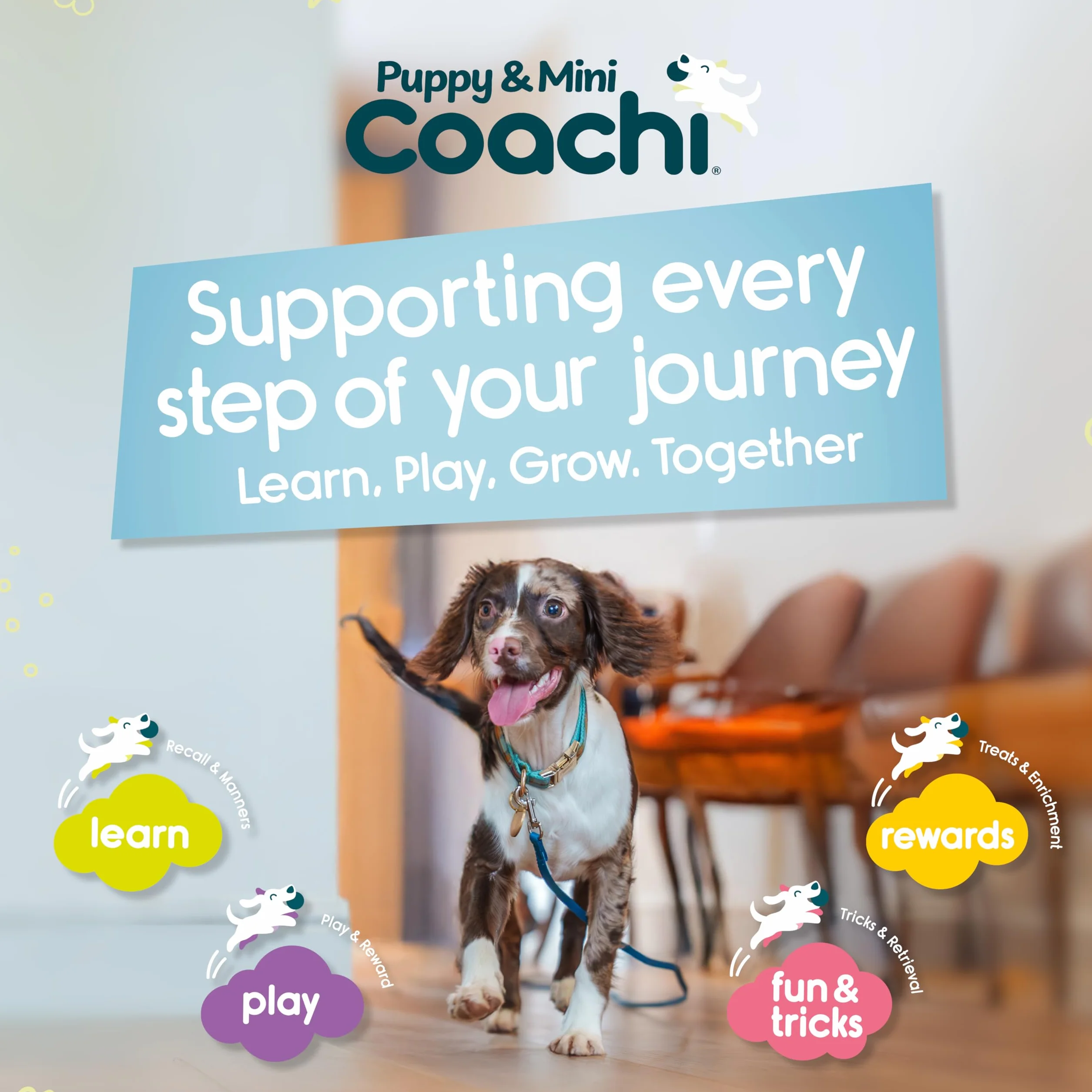 Coachi Puppy & Mini Toilet Training Bells - odpowiednie dla szczeniaków lub nowo nabytych psów, nauka czystości w domu, zapobieganie drapaniu drzwi. Akcesorium dla psa, świetne do treningu klikerowego