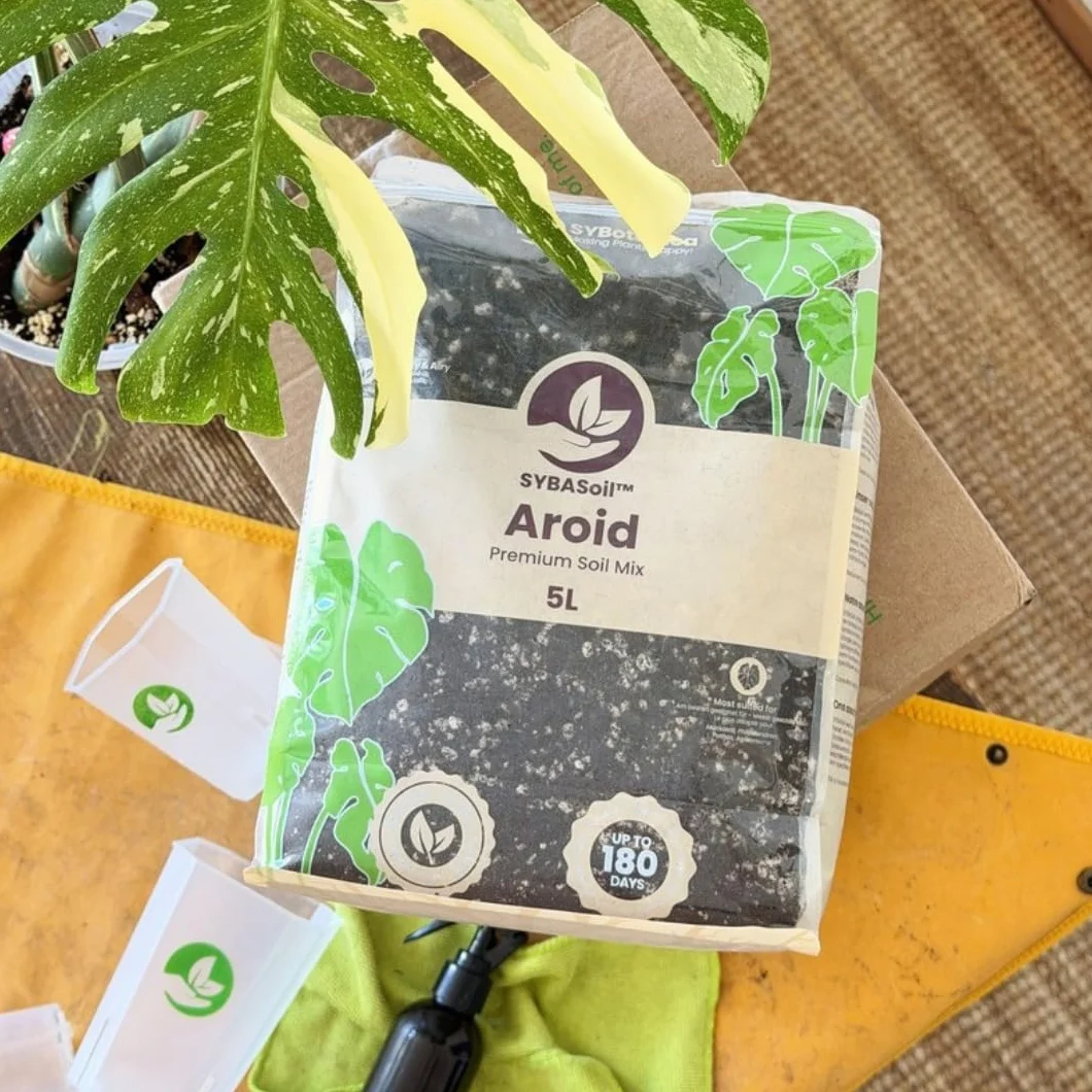 Sybotanica podłoże do Monstery i Filodendrona 5 L kokosowe bez torfu organiczne odżywianie