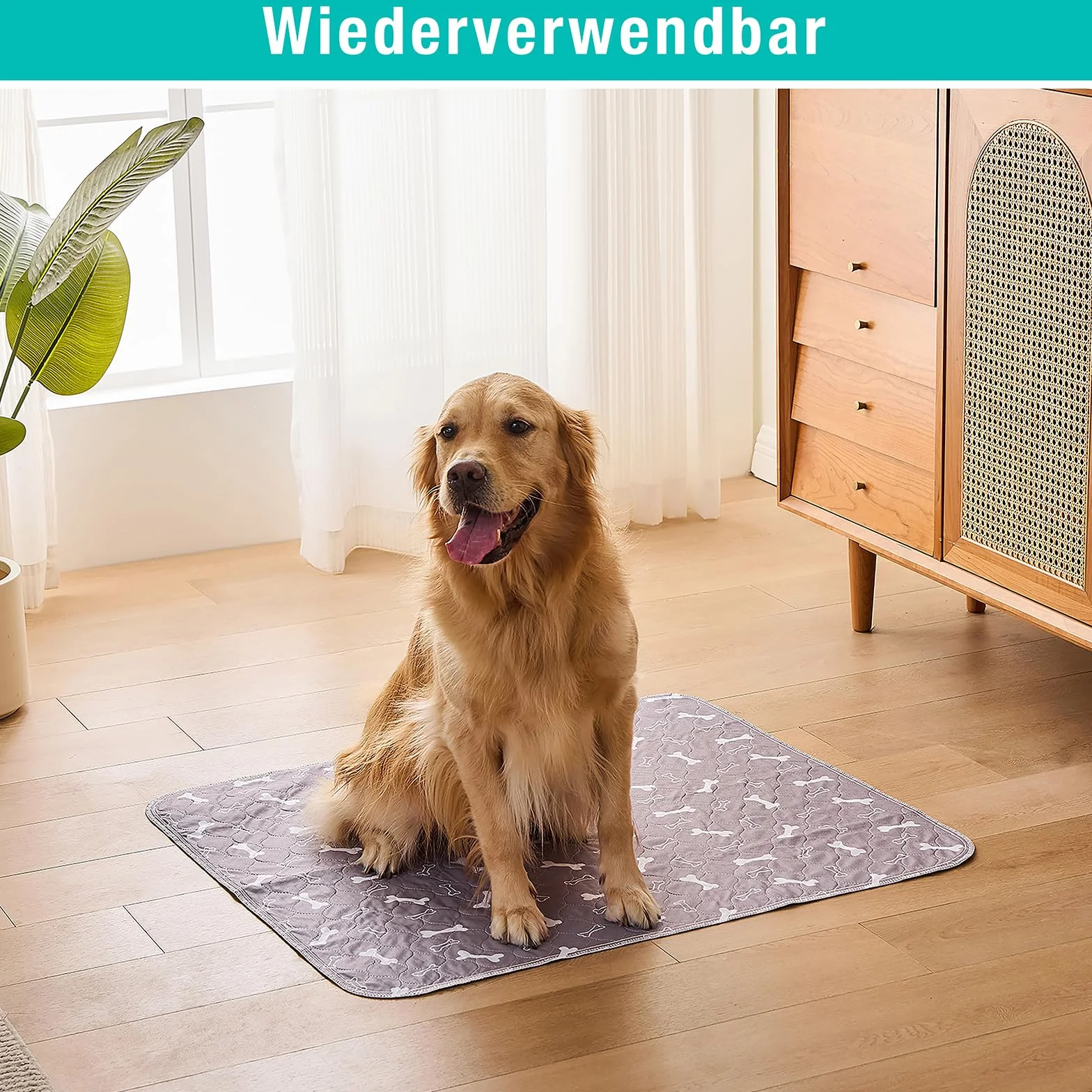 Podkładka na nietrzymanie moczu dla zwierząt domowych, zestaw 2 sztuk, 80 x 90 cm – nadają się do prania, chłonne podkładki treningowe z certyfikatem Oeko-Tex i podkładki na mocz