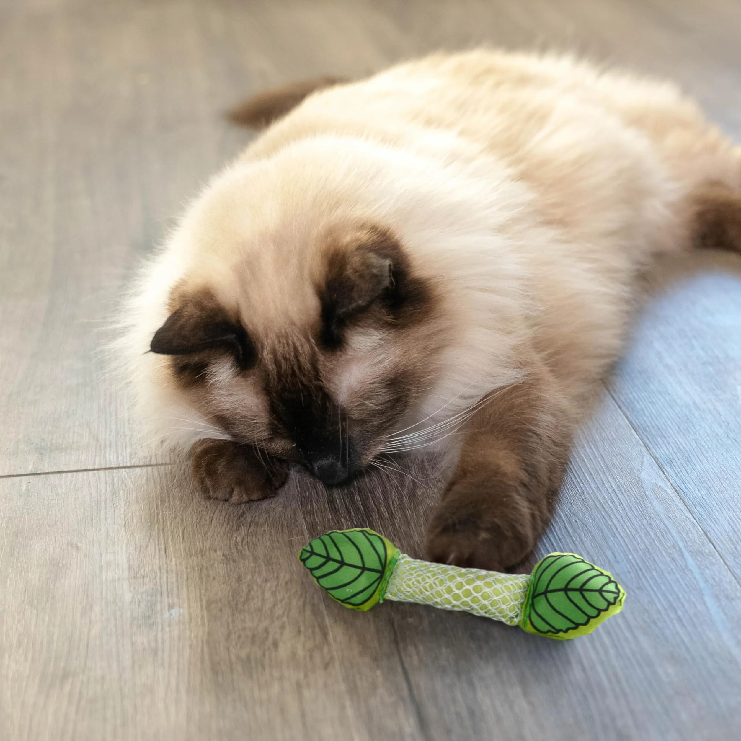 Petstages Fresh Breath Mint Stick Zabawka dentystyczna dla kotów zielony