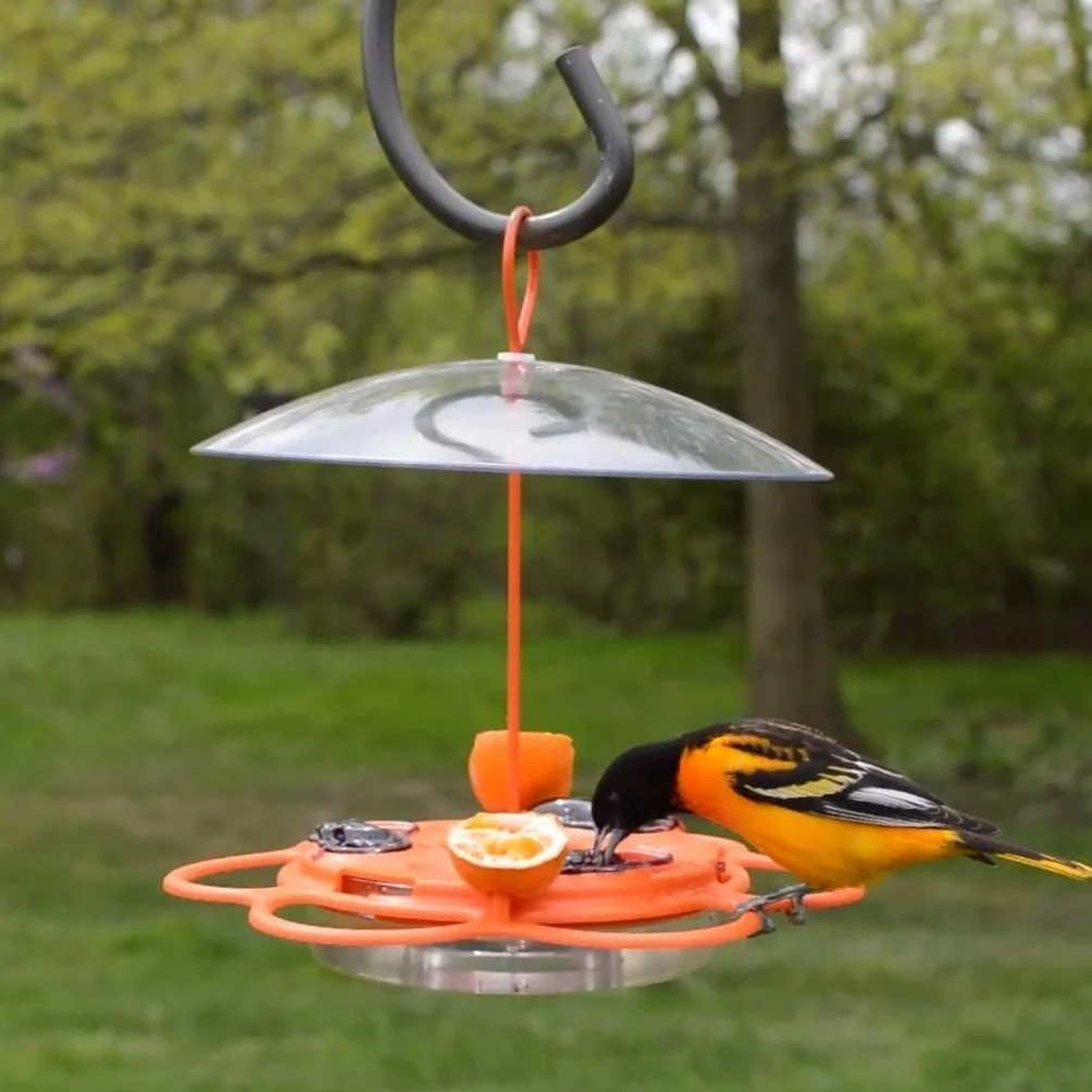 Nature's Way OFP1 All-in-One Oriole Buffet karmnik dla ptaków, pomarańczowy