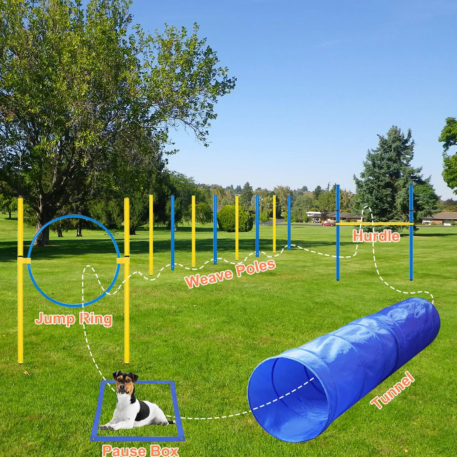 Zestaw agility dla psów, 8 przeszkód, tunel, pierścień, torba