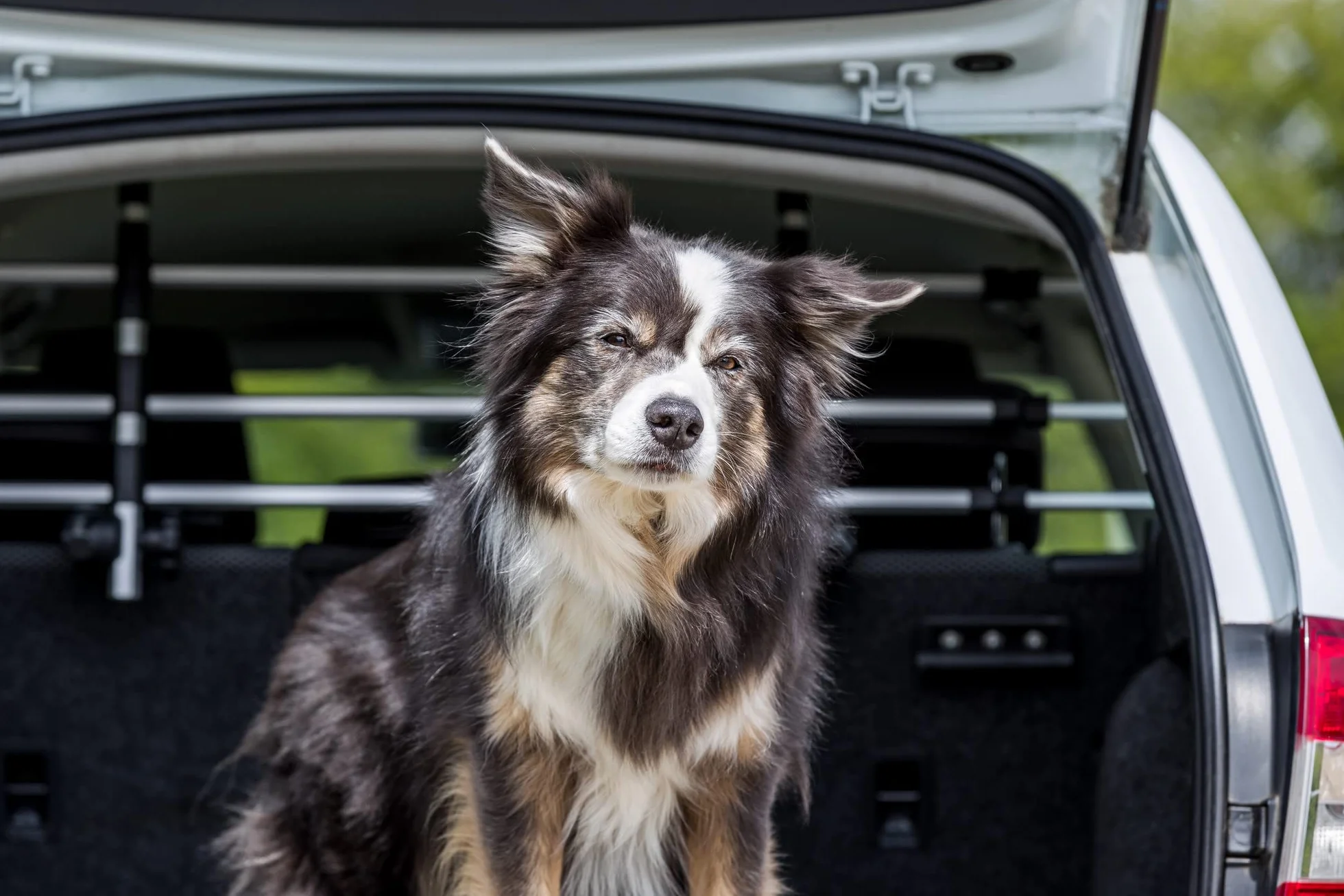 Trixie kratka samochodowa 96-163 cm 34-48 cm srebrna/czarna