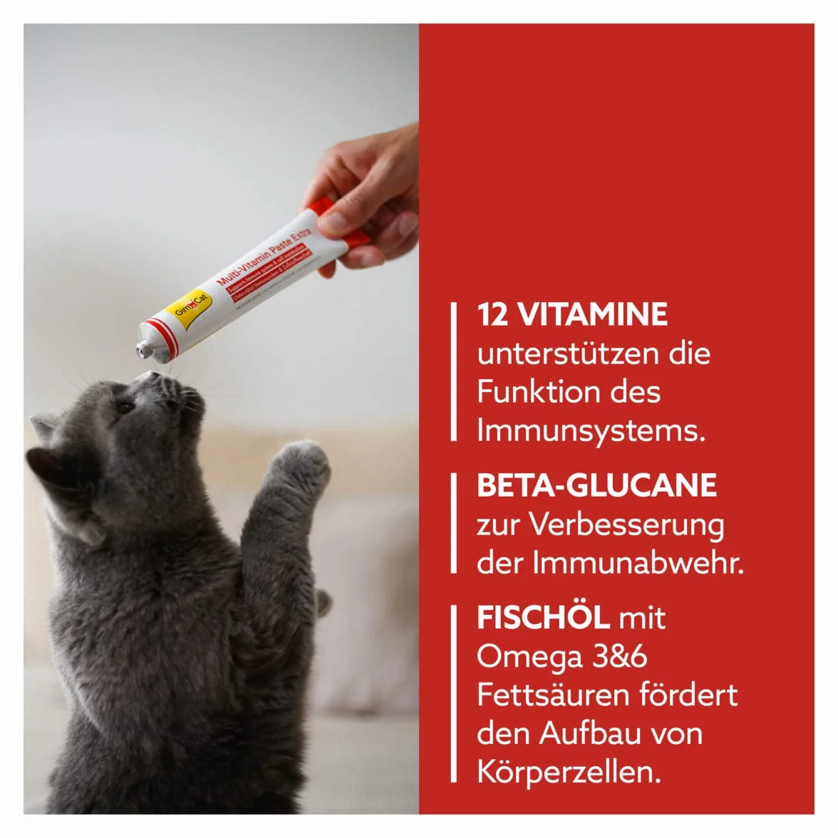 GimCat Multi-Vitamin Extra Pasta multiwitaminowa dla kotów z beta-glukanem i kwasami omega-3 i omega-6 100 g
