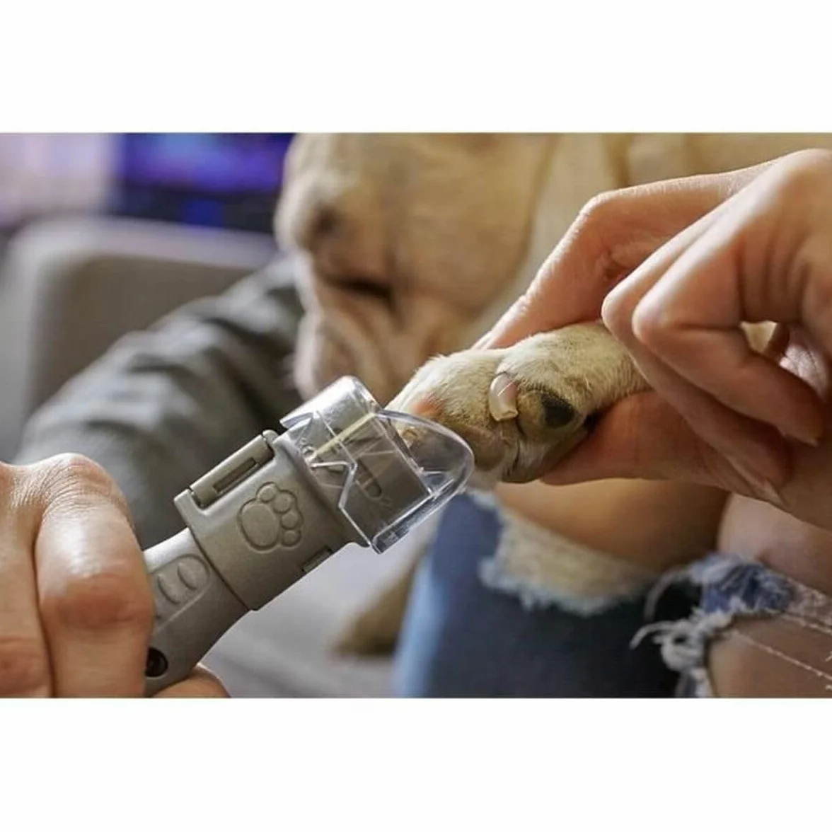 Dremel EZ SpeedClic tarcze do obcinania pazurów zwierząt SD60-PGK