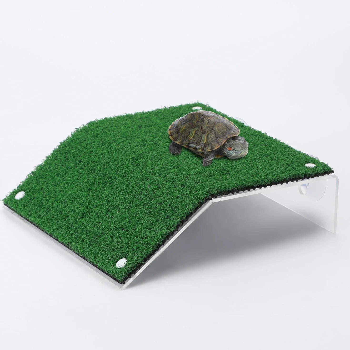 Platforma do wspinaczki żółw zielona trawa 20x10x12x5,2 cm