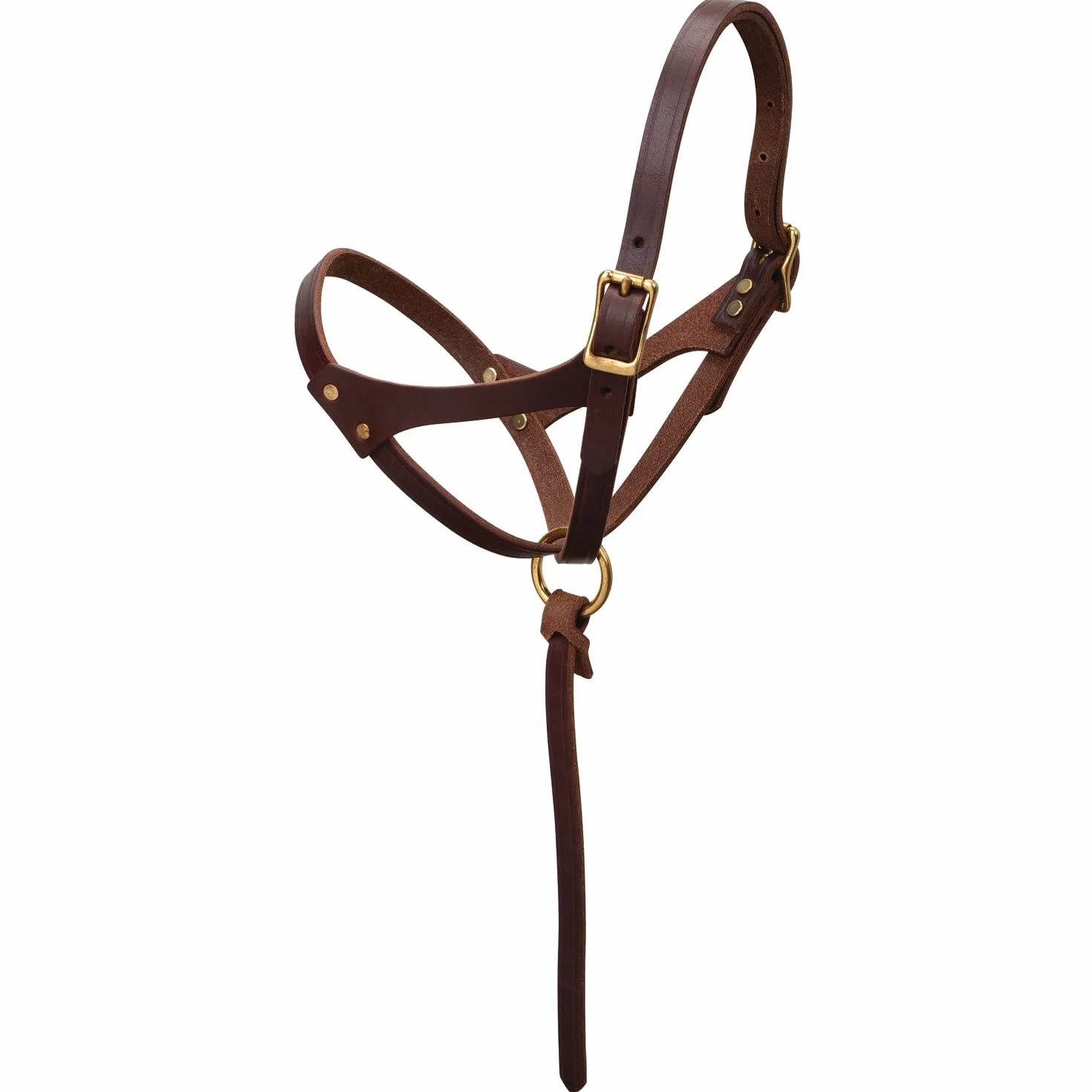 Weaver Leather Rysunek 8 Foal Halter, 5/20.3 cm, olejowana róża kanionu