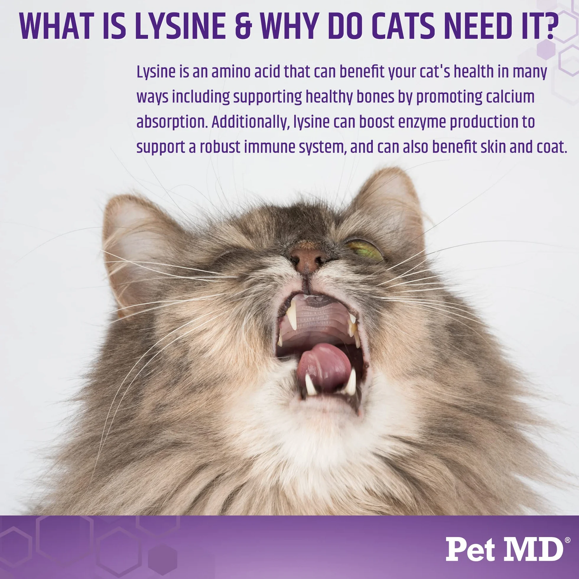 Pet MD Lysine Support Gel dla kotów 50 ml - L-Lysine wsparcie alergii i odporności