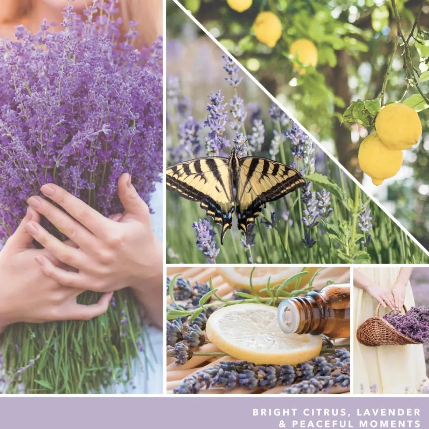Yankee Candle Świeca wotywna wypełniona cytryną lawendą