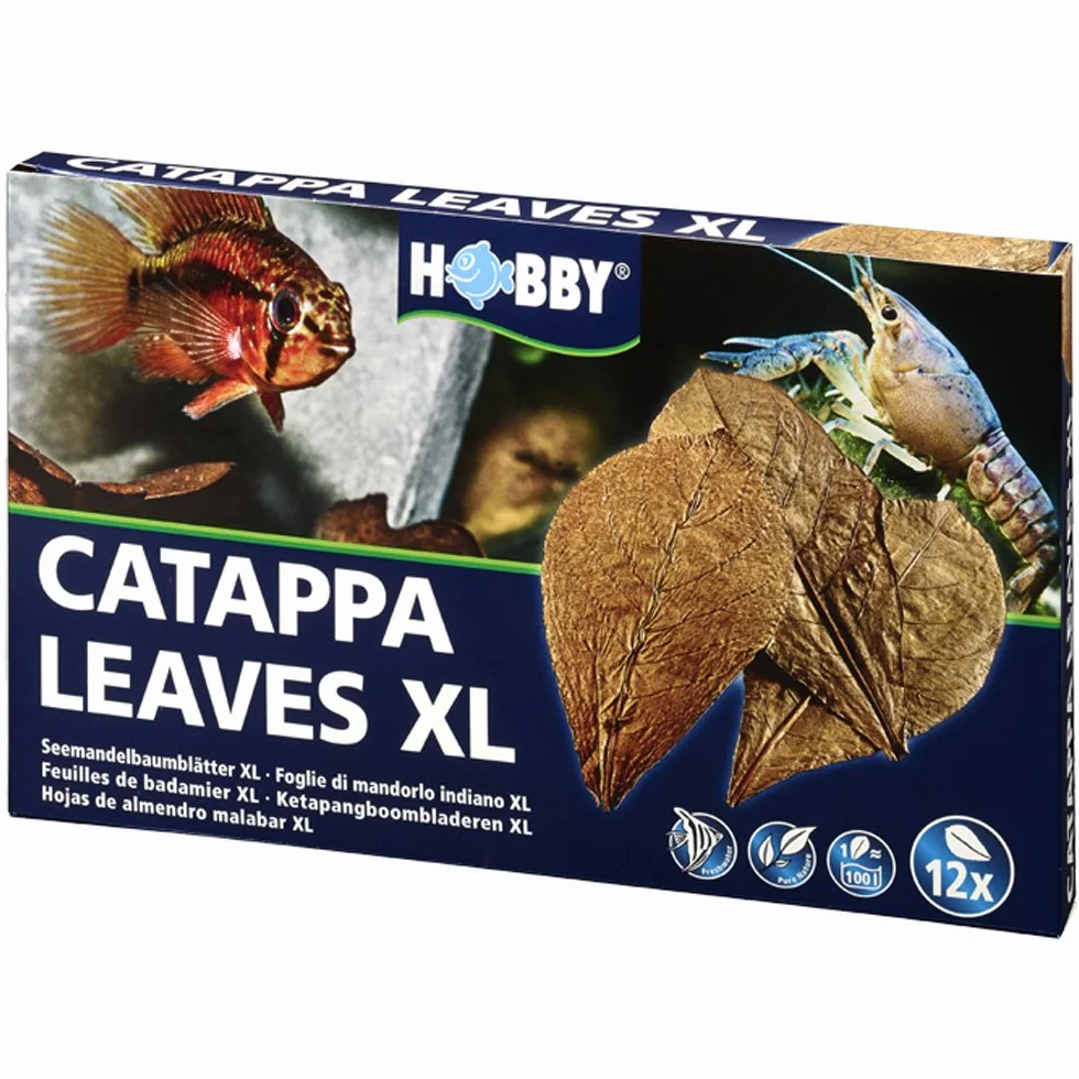 Liście Catappa XL 12 sztuk Hobby 51105