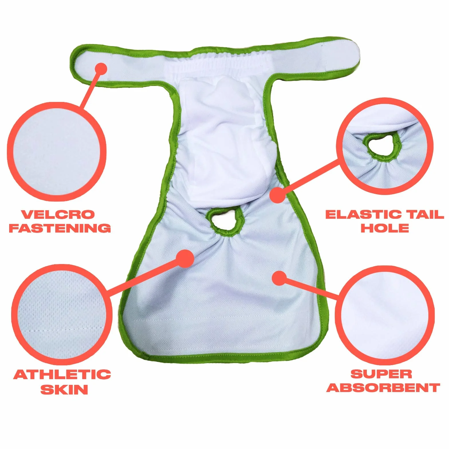 Dog Washable Diapers & Reusable by PETTING IS CARING - Female Dog Diapers Materials Durable Machine Washable Simple Solution for Pets Incontinence Long Travels Pants - 3 Pack Set (L, NEW DESING)