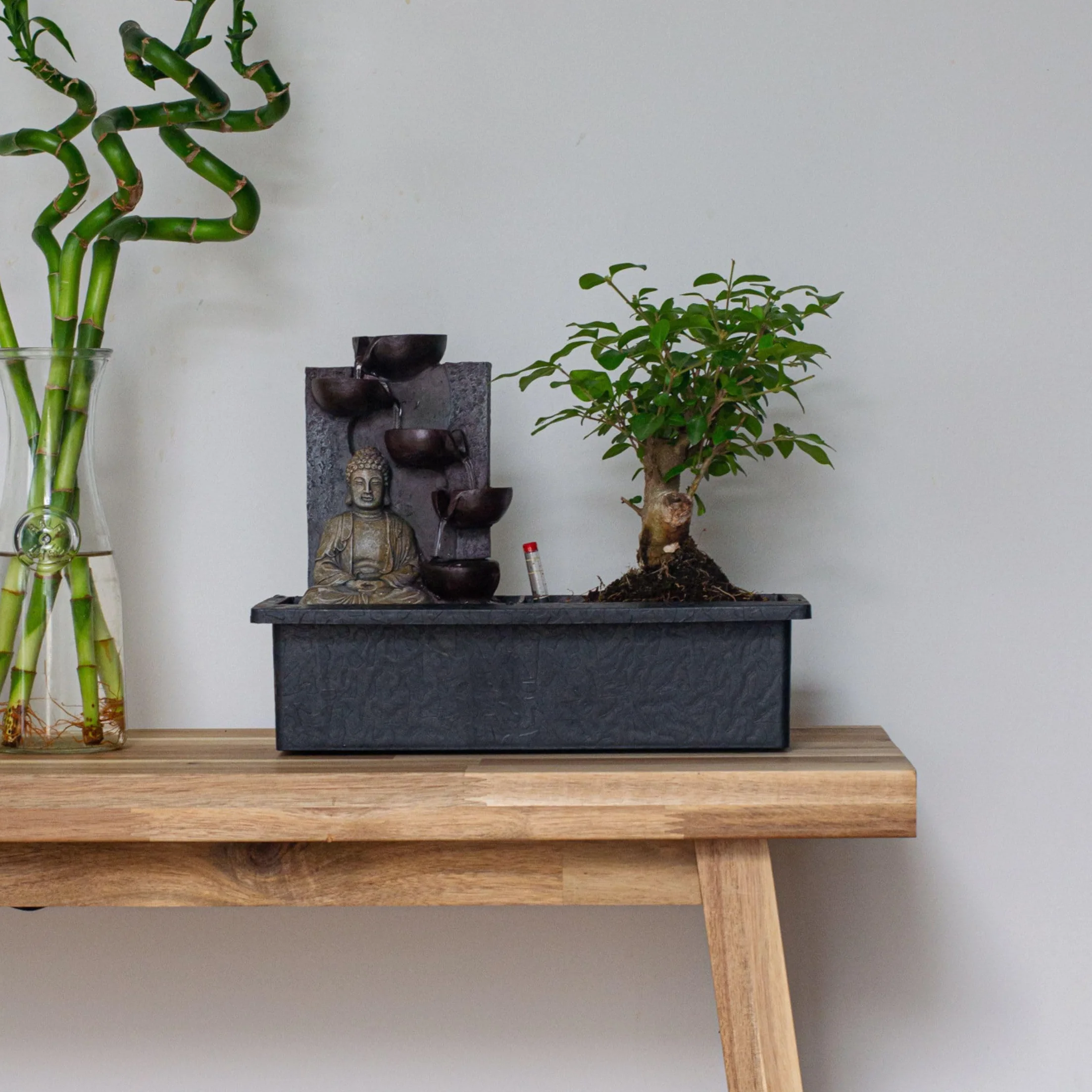 Plant in a Box - Bonsai z systemem nawadniania i płynącym wodospadem nad posągiem Buddy - roślina domowa - Wysokość 25-35cm