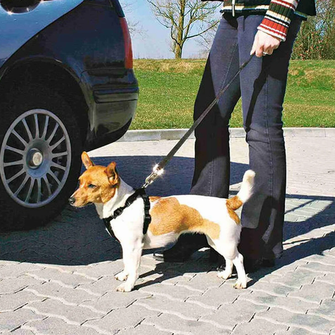 Szelki bezpieczeństwa DOG Copenhagen Trixie do samochodu Rozmiar XS 1 sztuka
