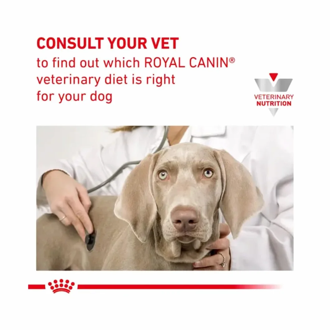 Royal Canin Mus żołądkowo-jelitowy o niskiej zawartości tłuszczu 12 x 200 g karma dietetyczna dla psów
