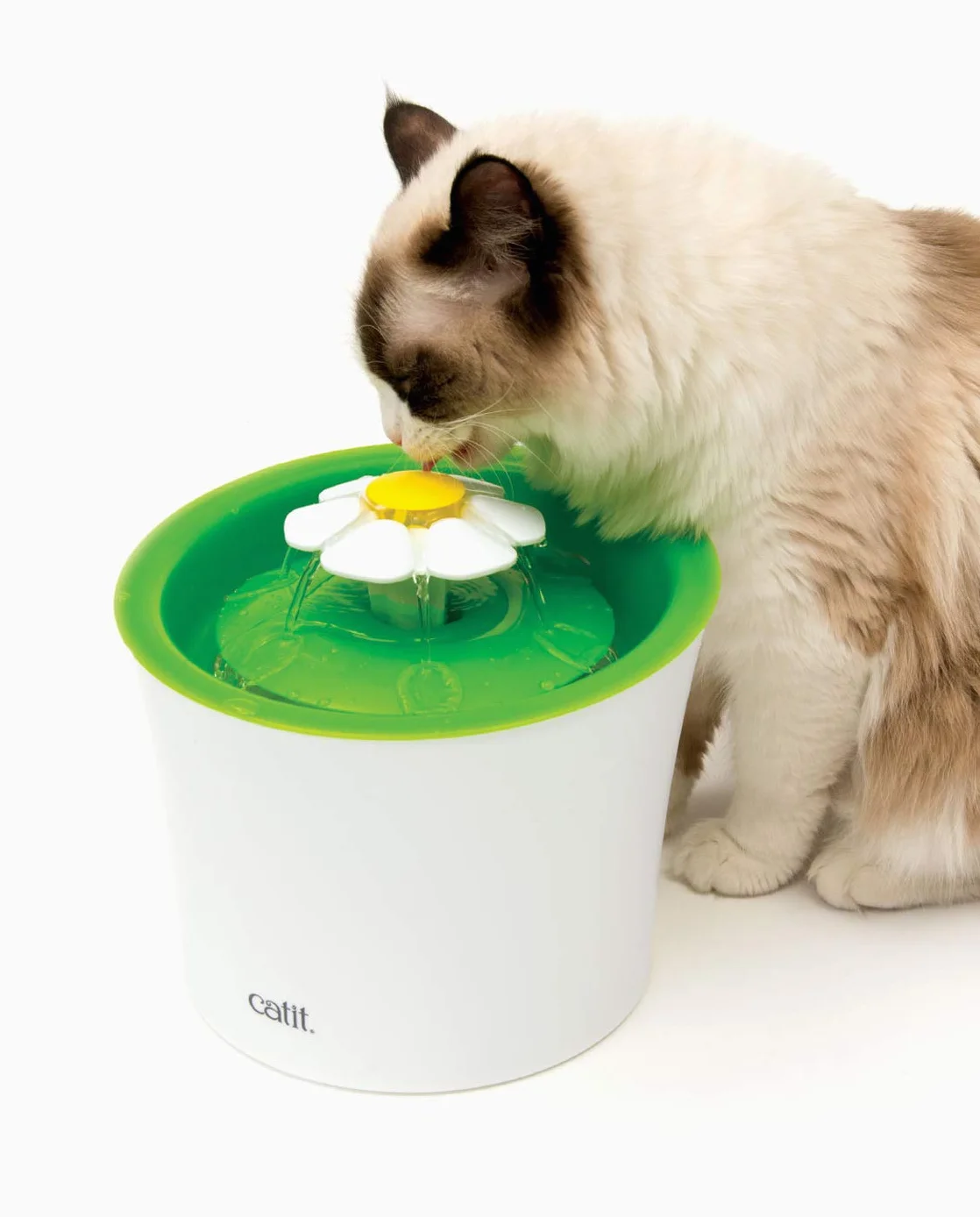 Catit Flower Fontanna do Picia 3 l Biały Zielony