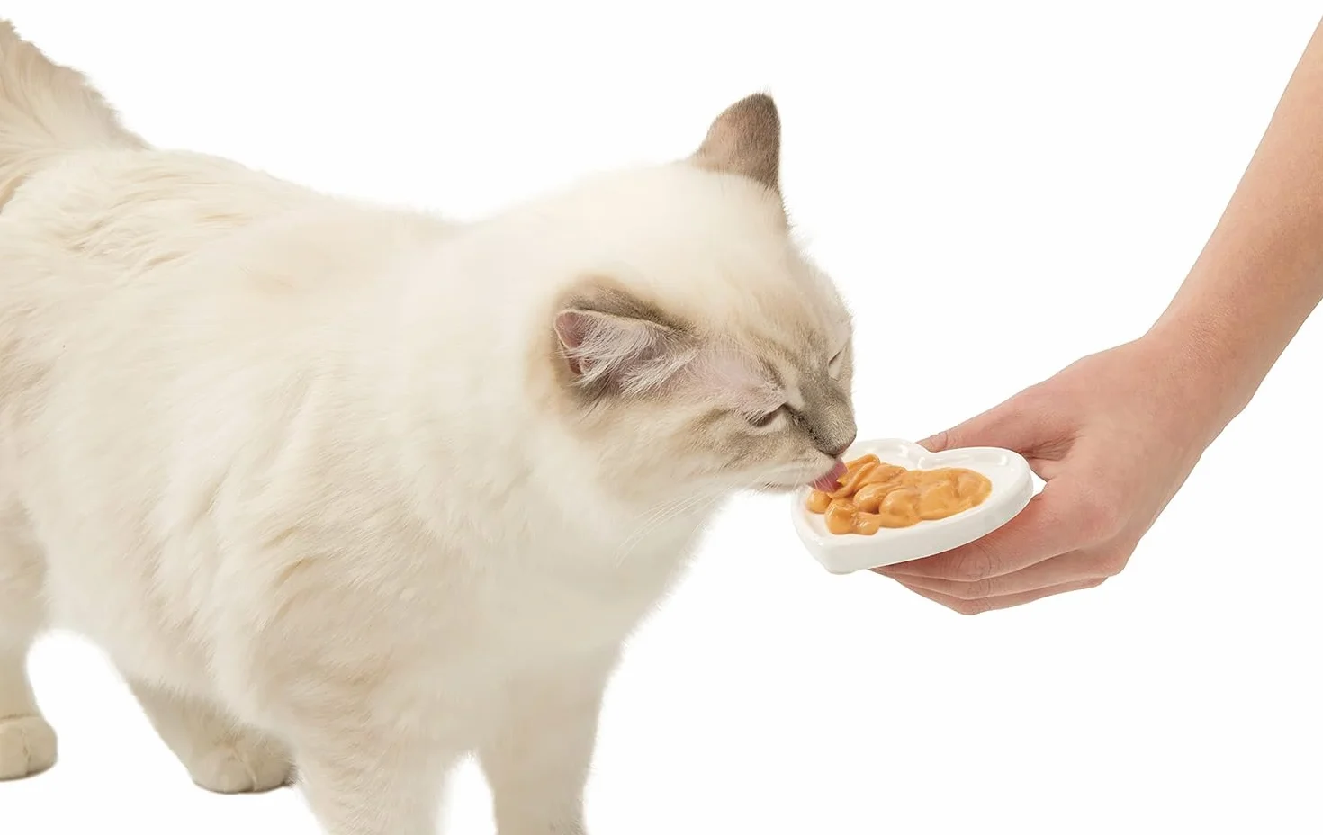 Catit Creamy przysmak dla kotów, 4 sztuki, kurczak/jagnięcina