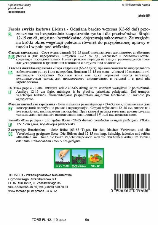 Elektra nasiona fasoli karłowatej (Phaseolus vulgaris) – bardzo wcześnie dojrzewające, bez nici 12-15 cm strąki, idealne do uprawy tuneli, bezpośrednie zaufanie na rynku (30 g)