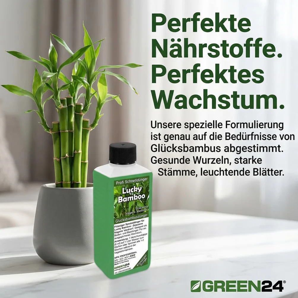 GREEN24 Lucky Bamboo nawóz na szczęście, specjalny nawóz High-TTech NPK, profesjonalna linia do nawożenia bambusa Dracaena sanderiana