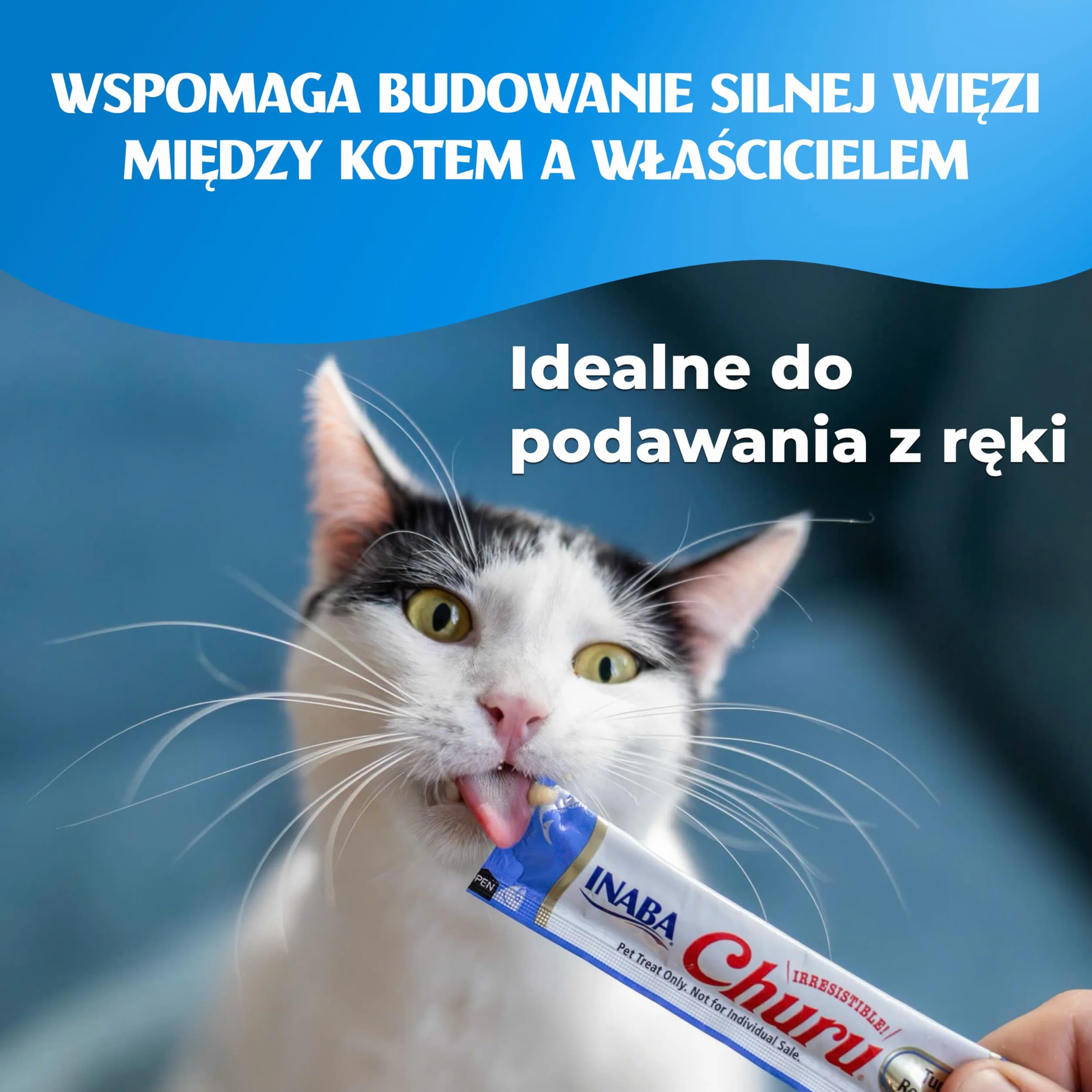 INABA Churu Przysmaki dla kotów 80 x 14 g