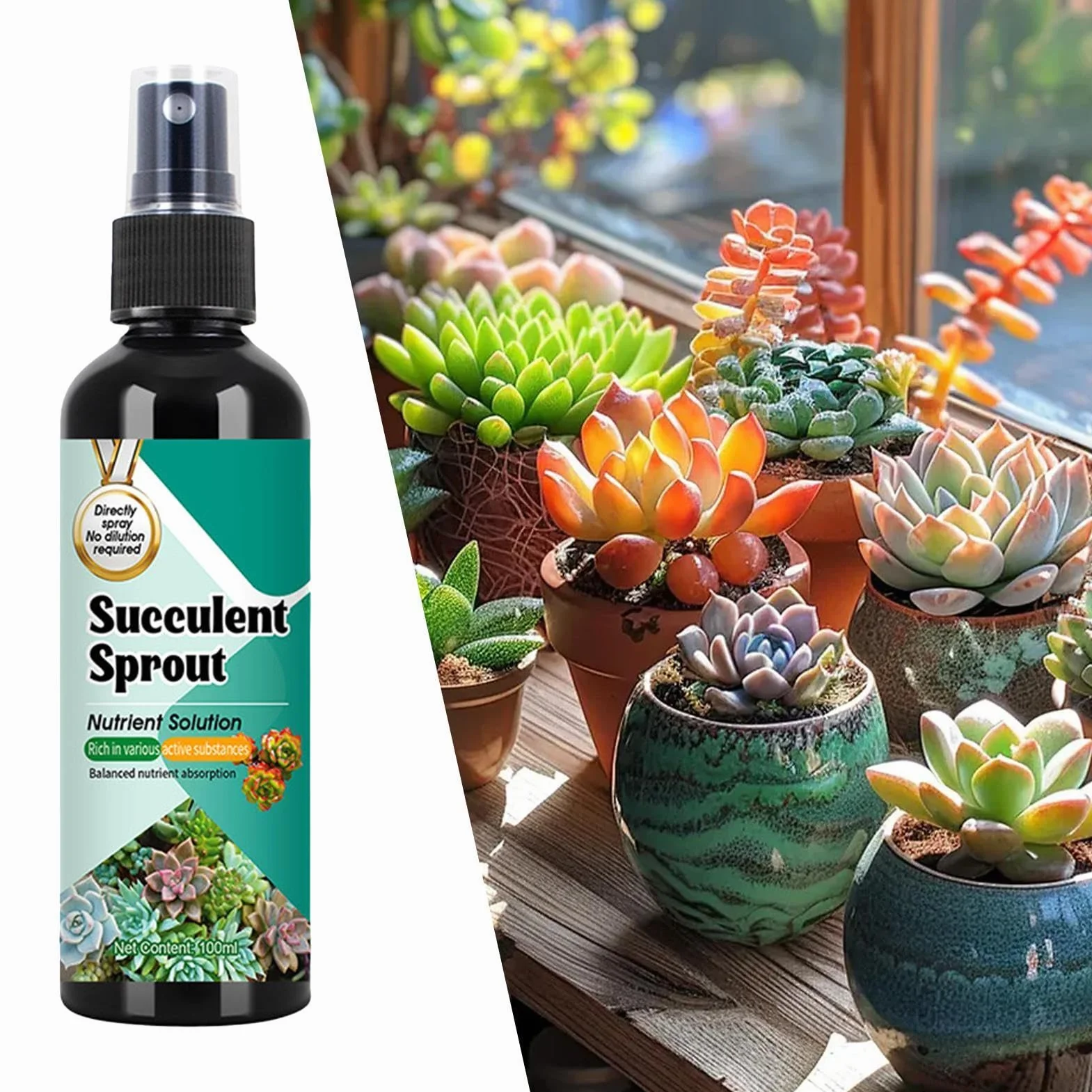 Nawóz Do Kaktusów | Stymulator Wzrostu Sadzonek Dla Sukulentów | 100ml Spray o Powolnym Uwalnianiu Wzmacniacz Kiełków do Wzrostu, Rozmnażania, Sadzenia i Przesadzania