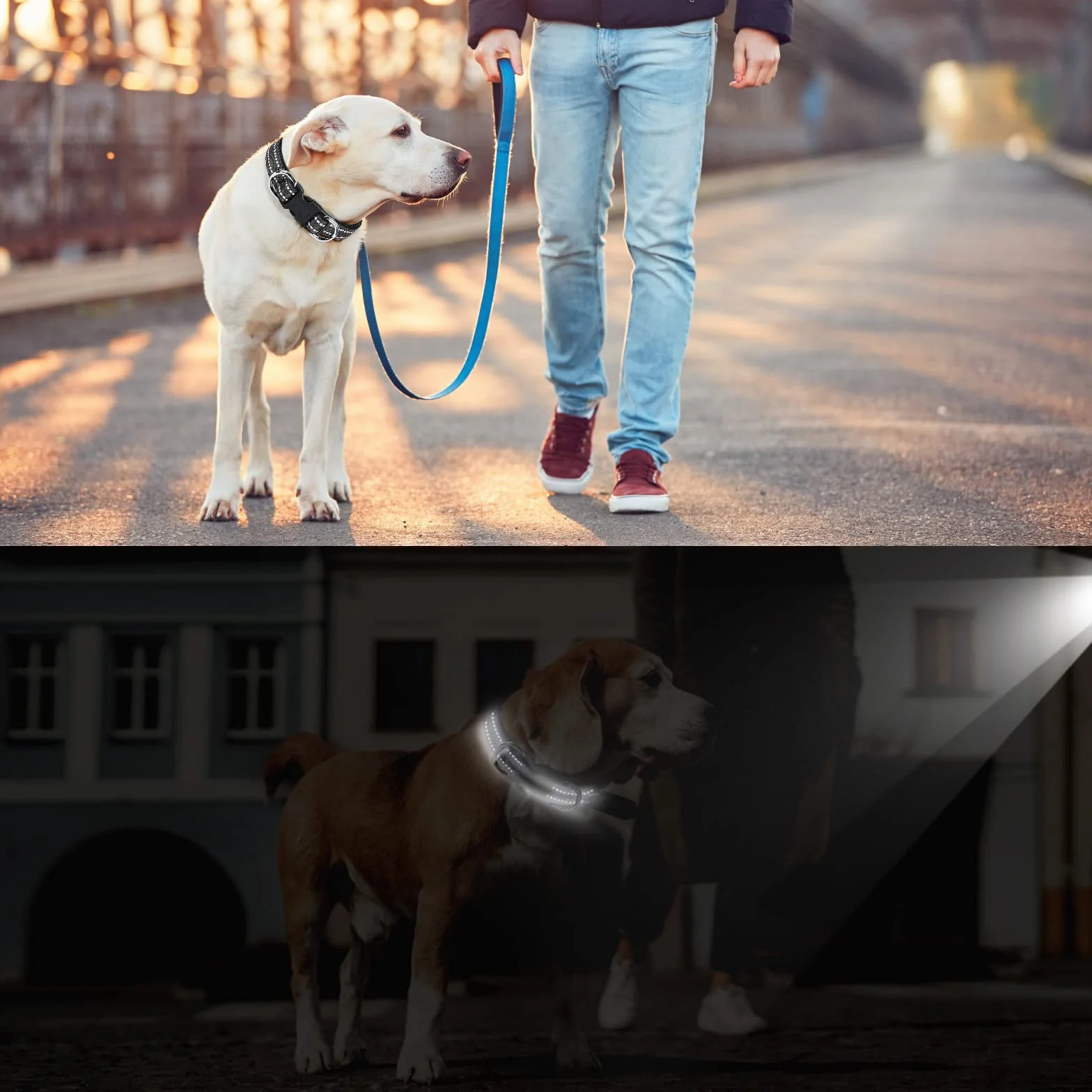 AUAUY Nylonowa obroża odblaskowa, regulowana, wyściełana neoprenem, podwójnym pierścieniem D i klamrą szybkiego uwalniania, dla małych, średnich i dużych psów (czarna-S)