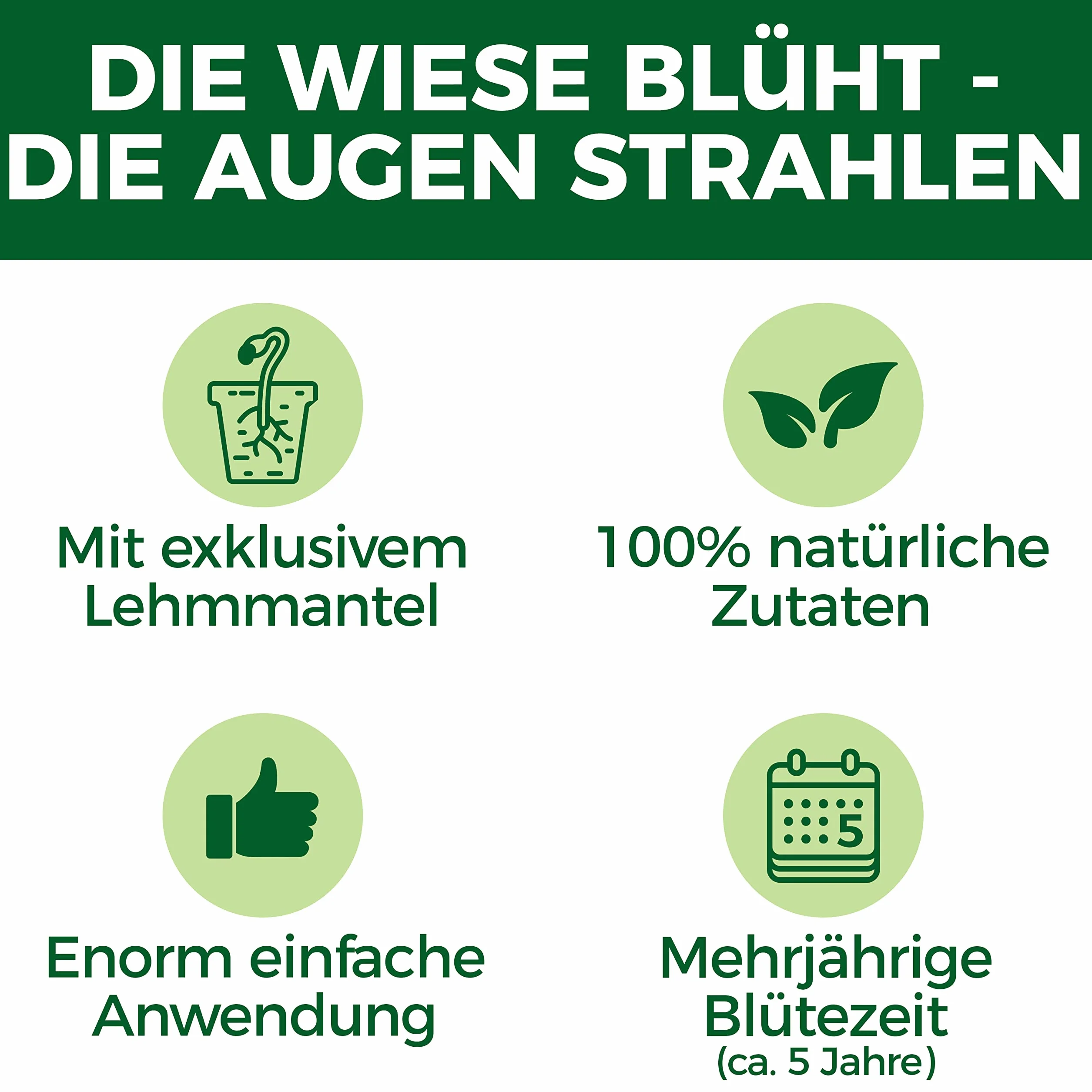 Nasiona kwiatów polnych, wieloletnie i odporne - 400g nasion pastwiska dla pszczół w glinianej otoczce z Niemiec - 100% naturalne nasiona kwiatów