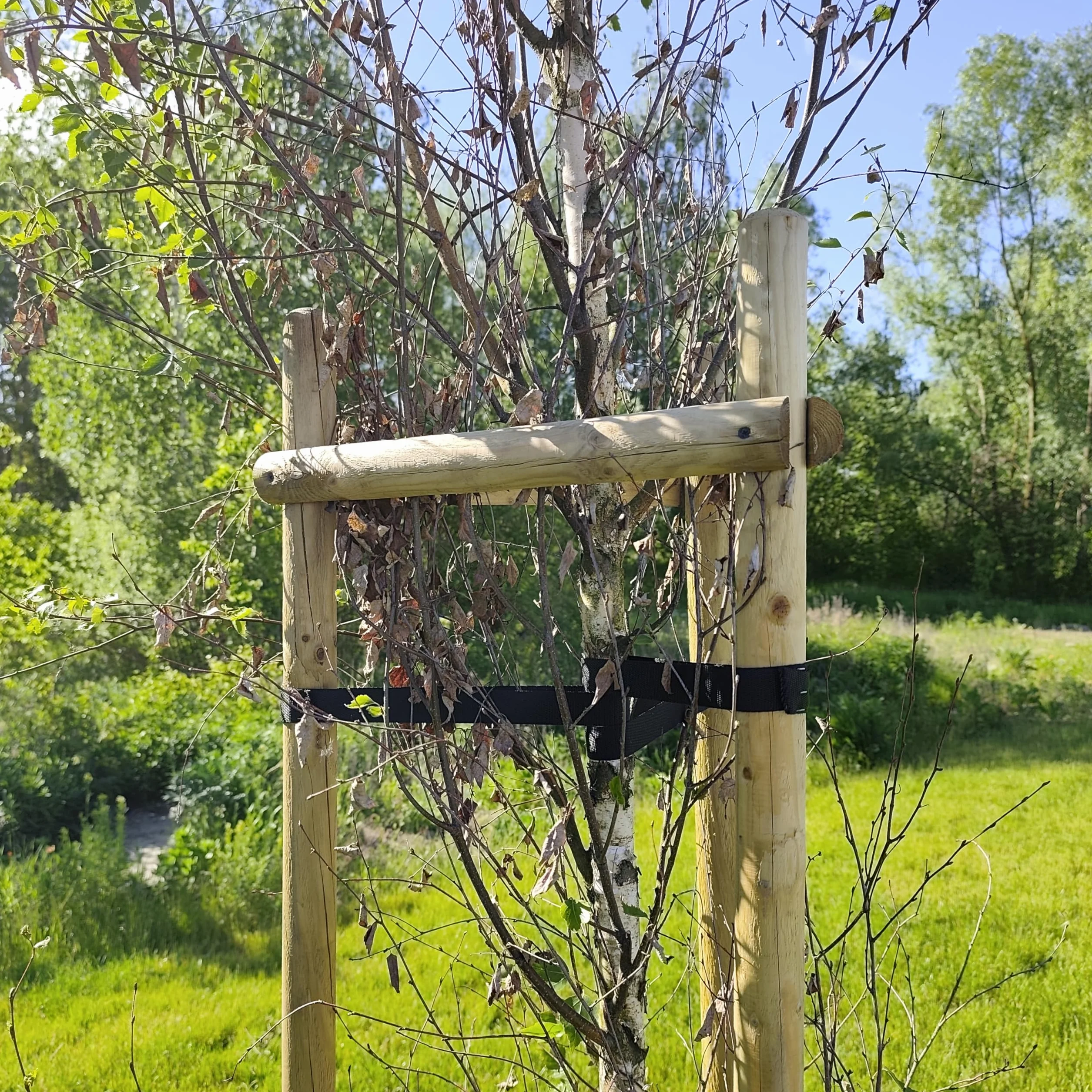 Zestaw Podpór z Drewna Sosnowego do Drzew 3x Palisada 200 cm Ø 6 cm + 6x Półpalisada 60 cm + 3x Czarne Taśmy 80 cm Drewniane Podpórki do Roślin Stabilizacja Mocowanie