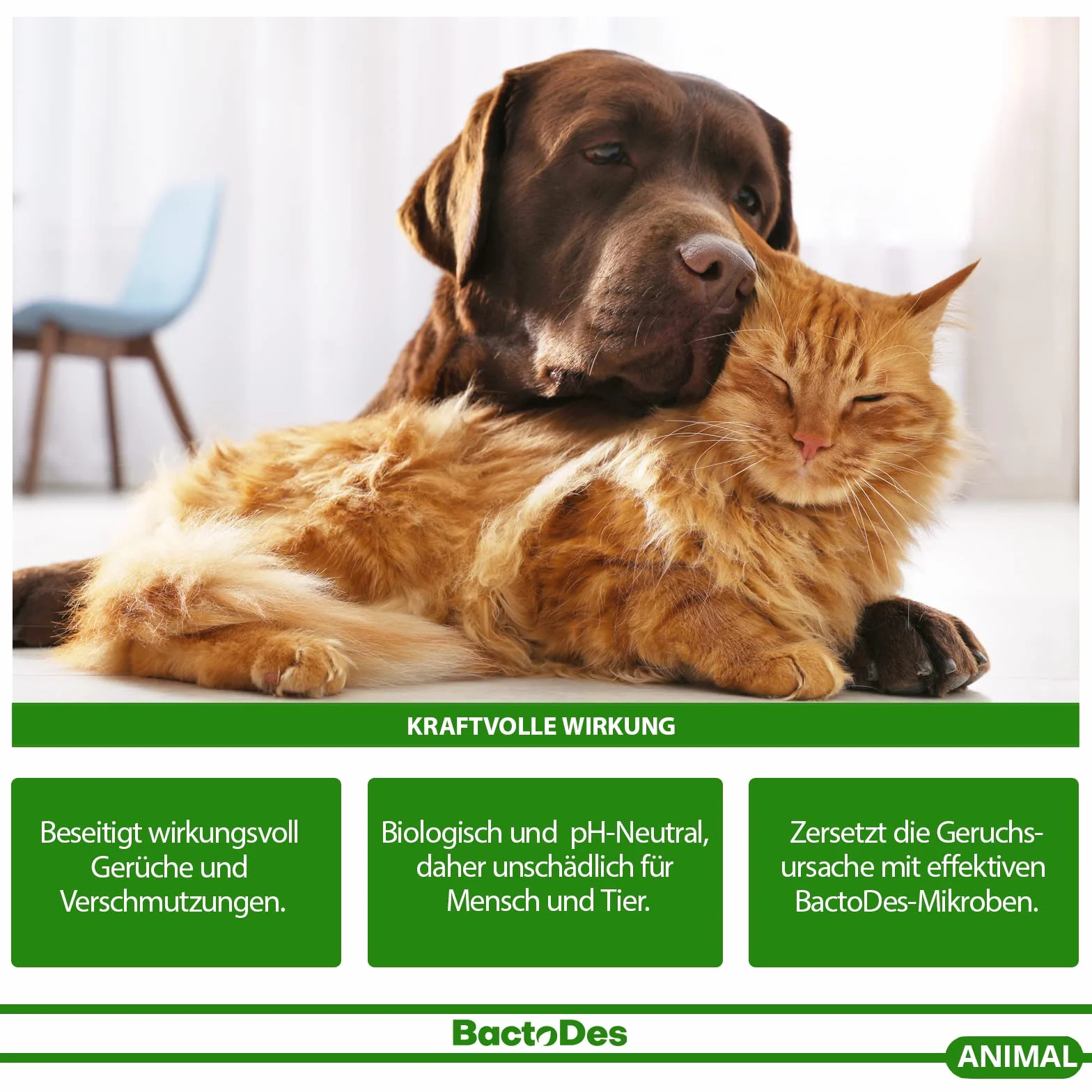 BactoDes Animal Ready enzymatyczny środek do usuwania zapachów i plam w sprayu 1 l