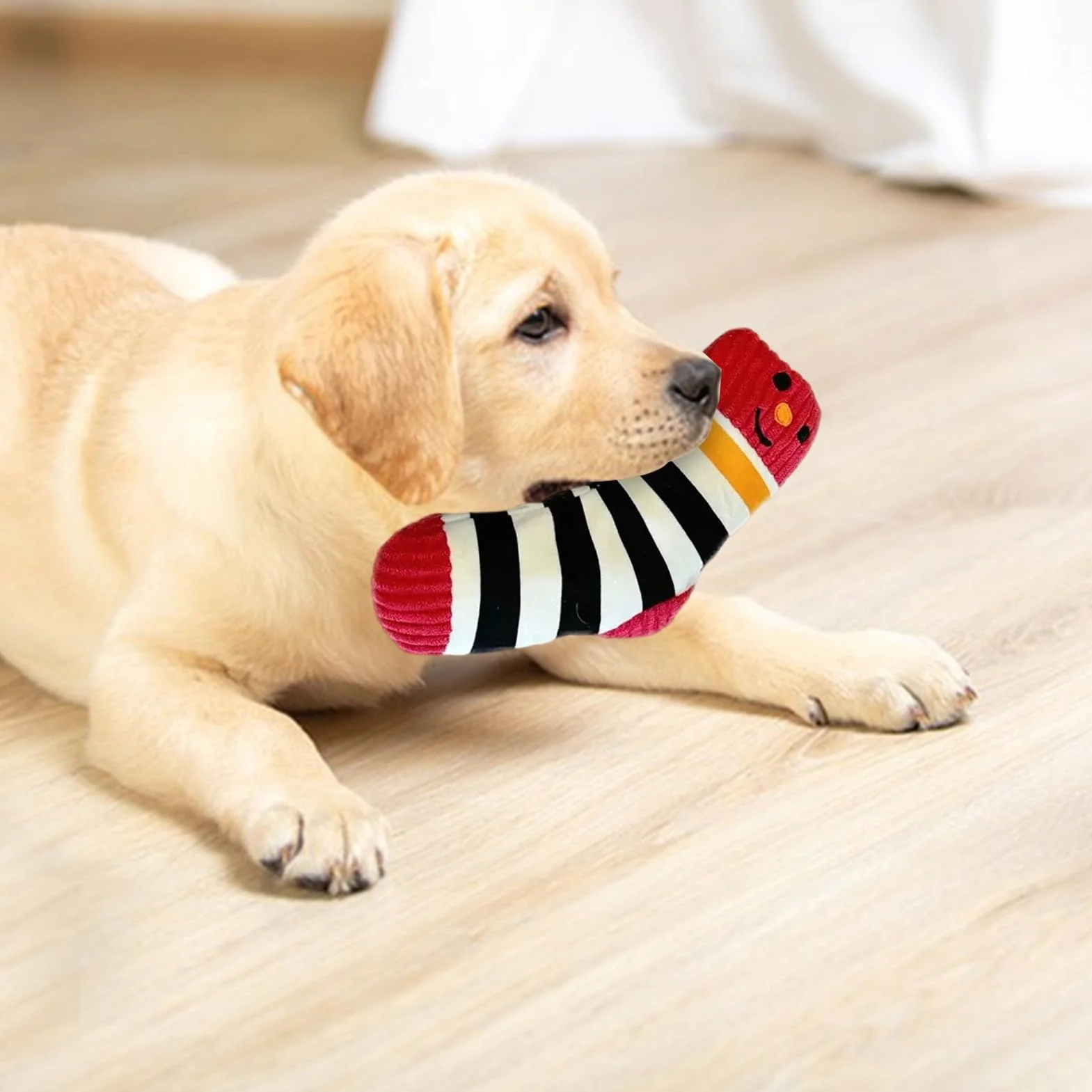 Interactive Dog Toy - Squeaky Chew Tear Resistant Pet Plaything | Fun Sound Making Puppy Training with Bite Friendly Texture Entertainment for Beach, Lawn, Garden, Park