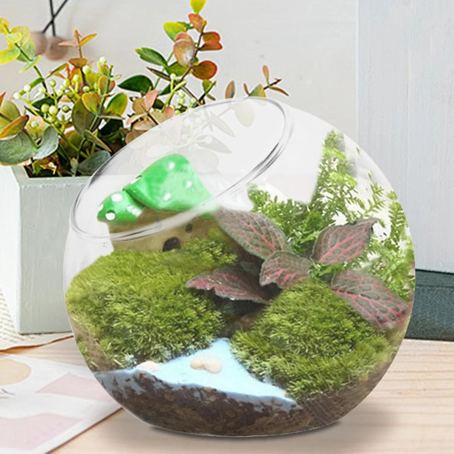 Uko?ne ci?te miski, szklany wazon doniczk?, dekoracyjny wazon z?ot? rybk?, przezroczyste terrarium, ryby, wazon w kszta?cie kuli, szklany wazon sto?owy w nowoczesnym wzornictwie